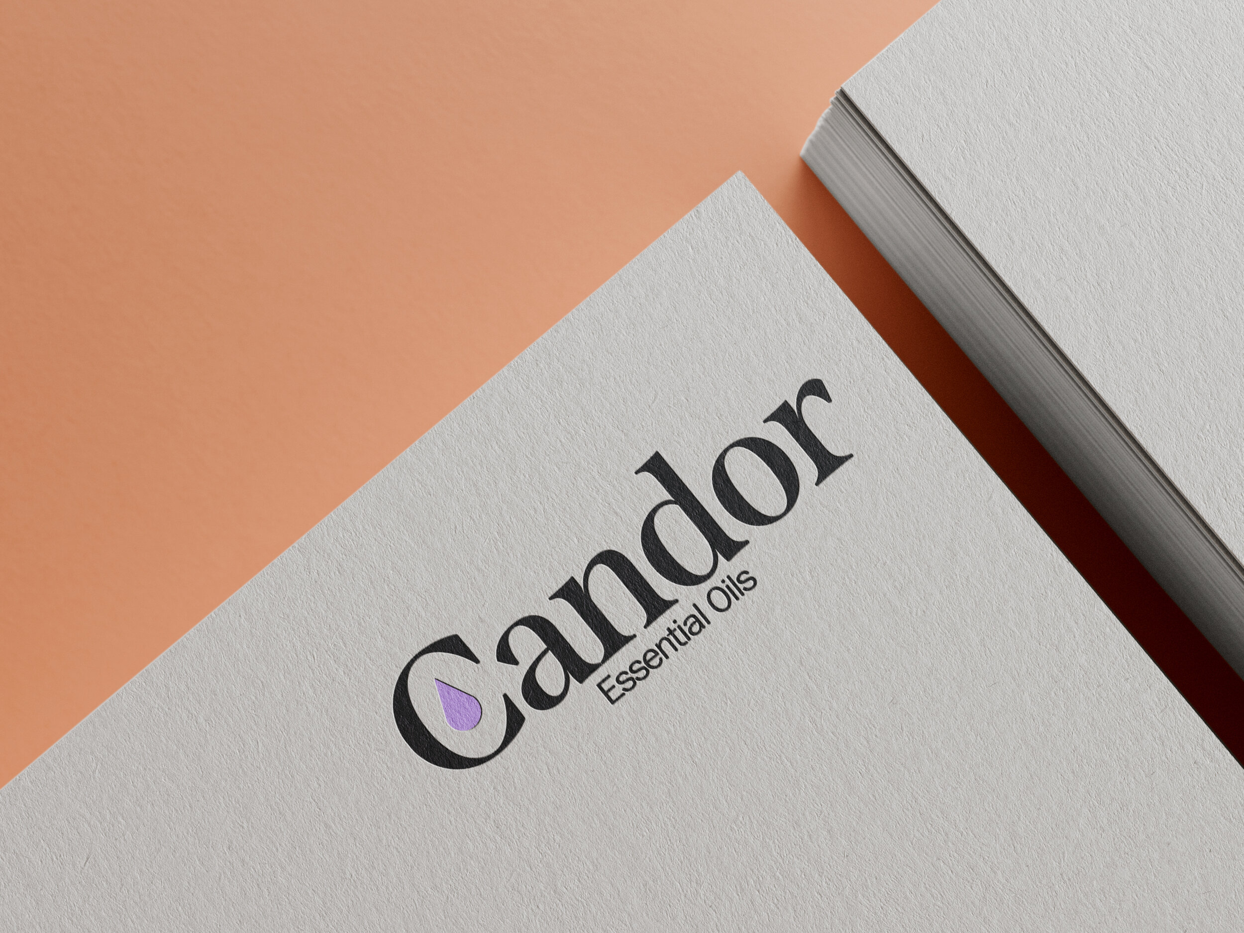 logo-mockup-orange.jpg
