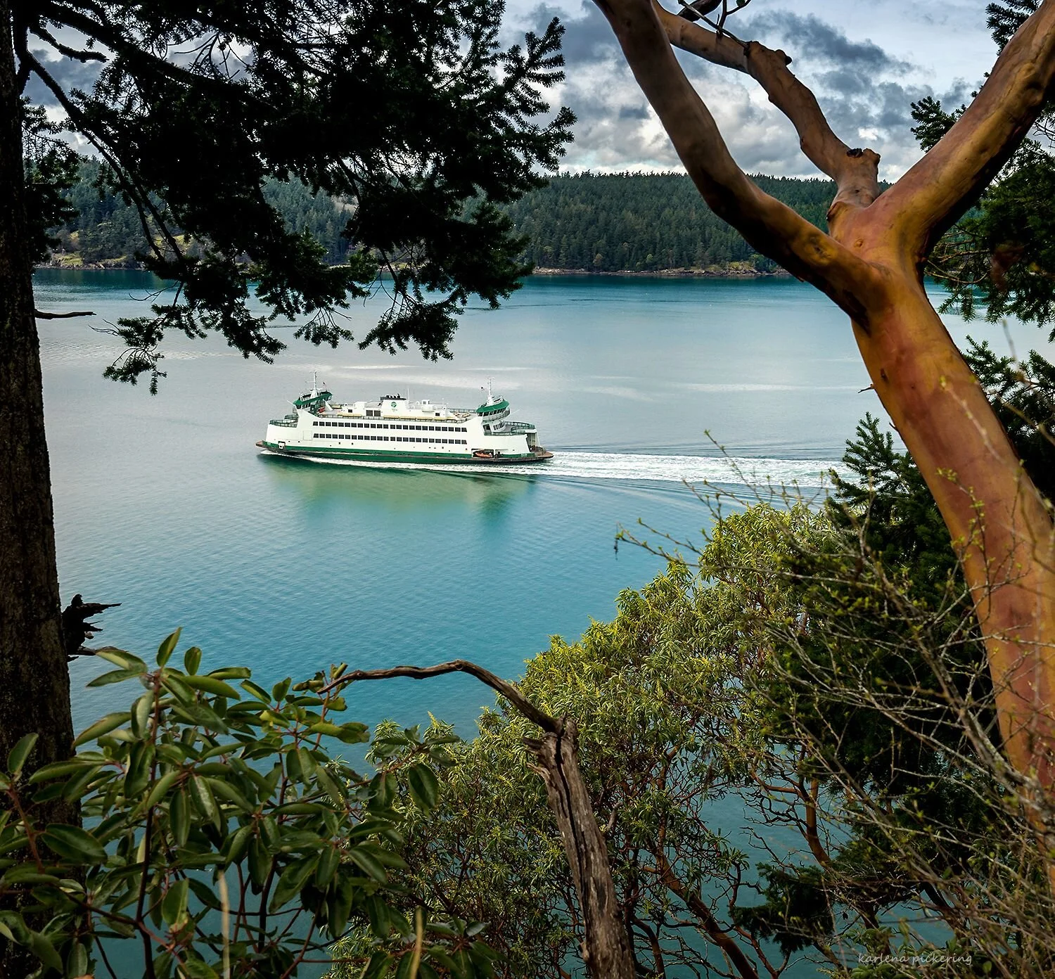K.Pickering-ferry-5.jpg