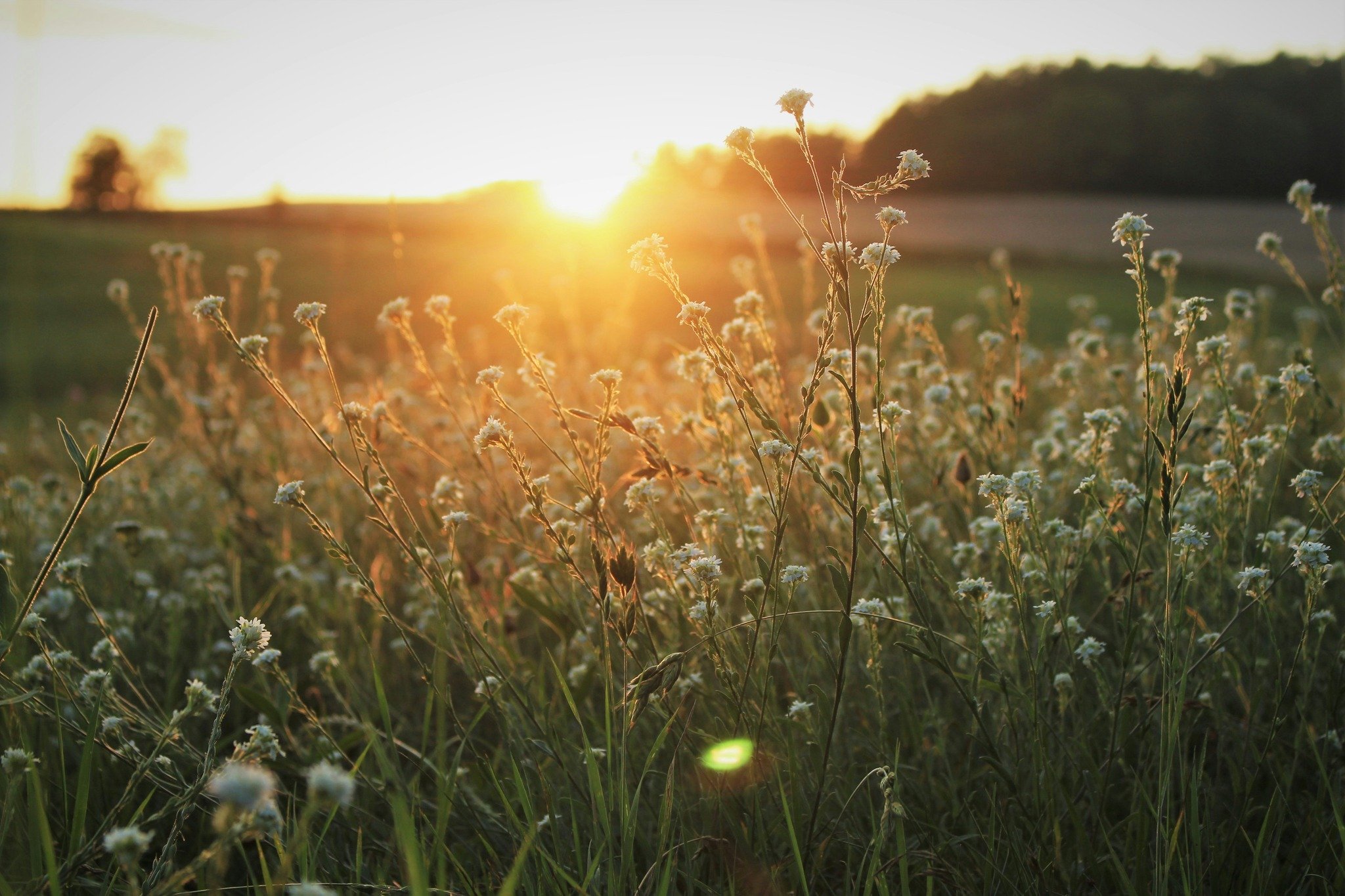 We all strive to be happy in life, but often, our efforts to achieve this are hampered by other factors. Here are some tips to help you find more happiness:

1) Set realistic expectations: Depictions of happiness from society and the media aren't nec