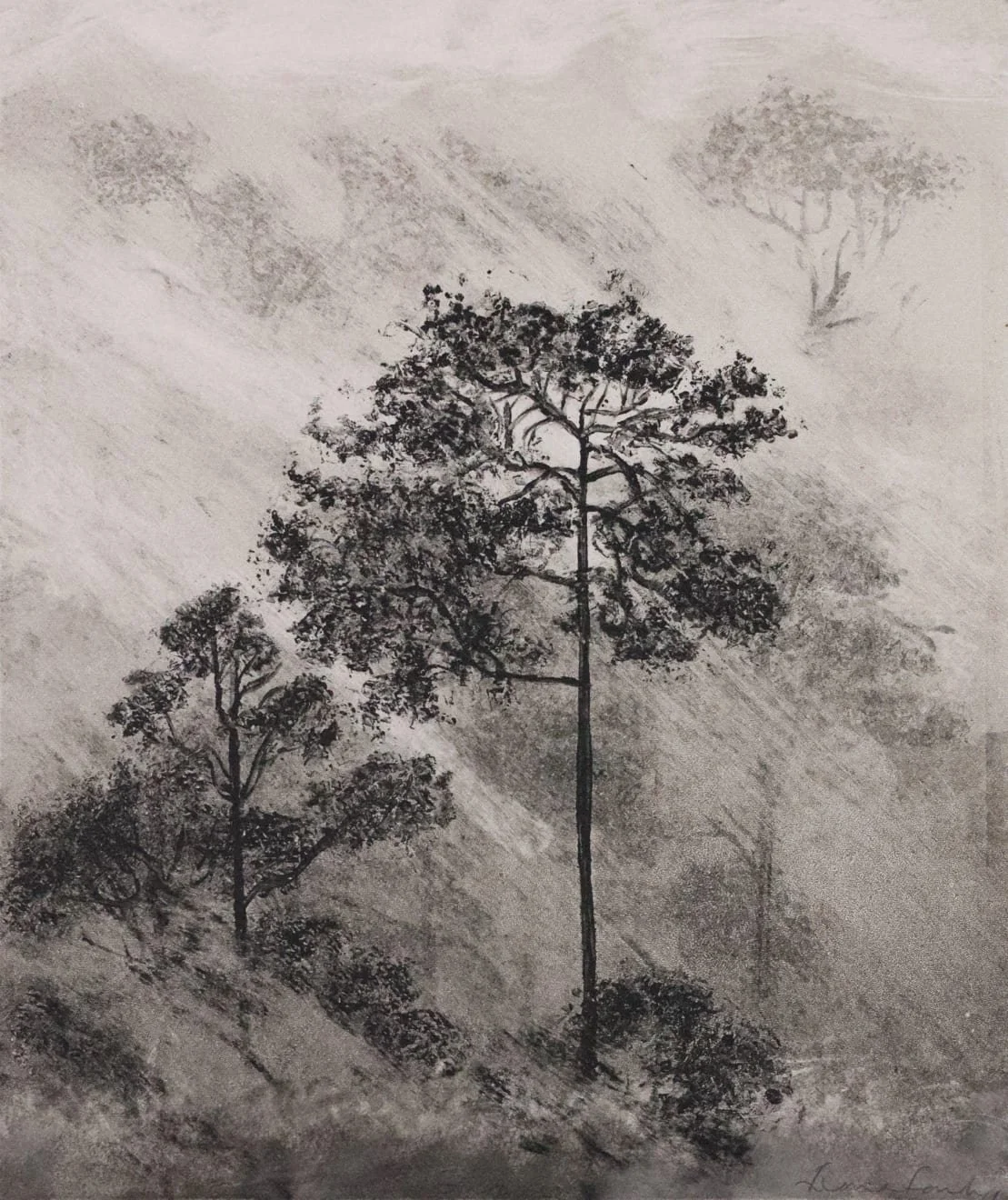 Between Light and Shadow: Young Collectors Evening