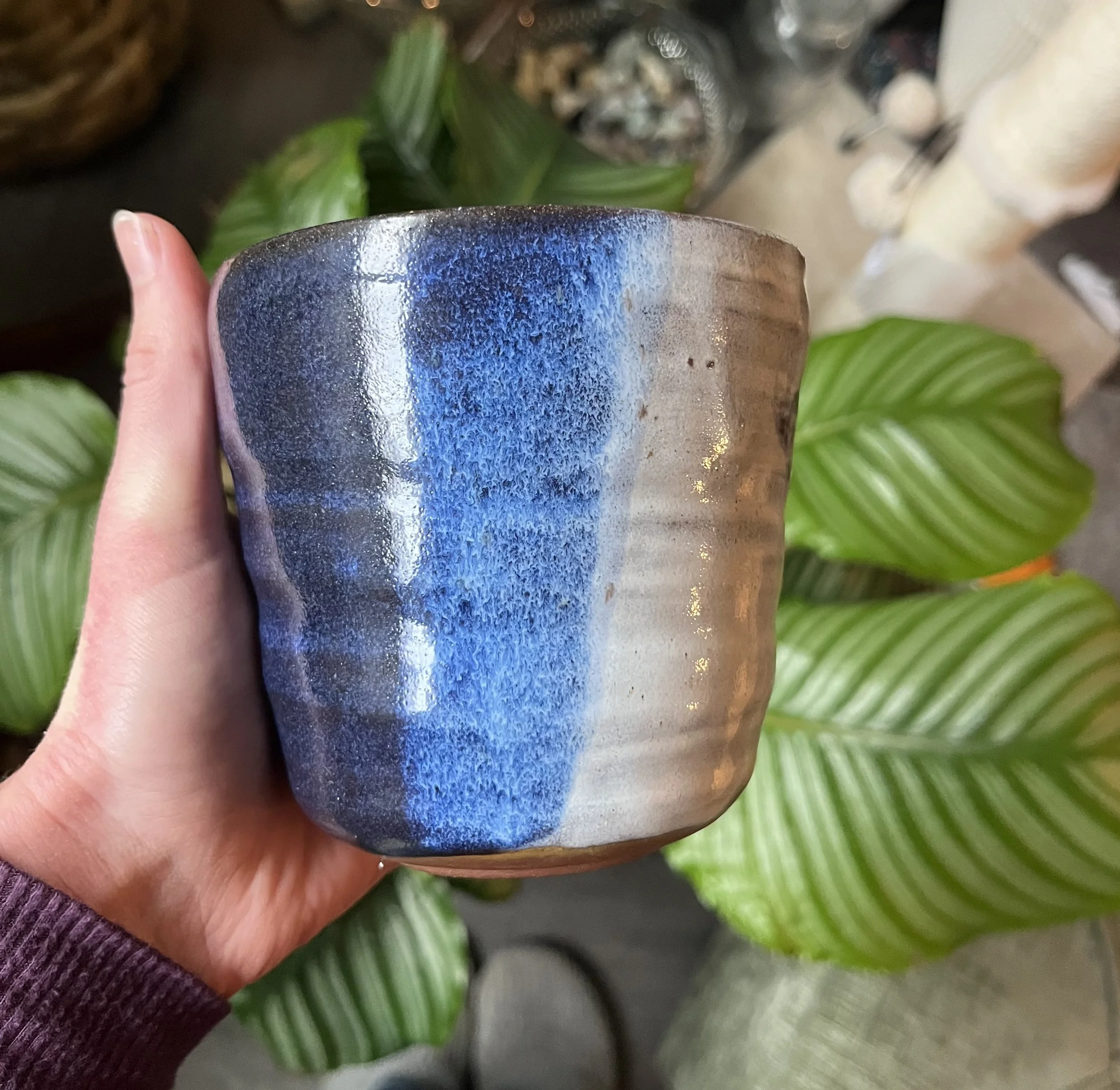 Split color planter(1).jpg