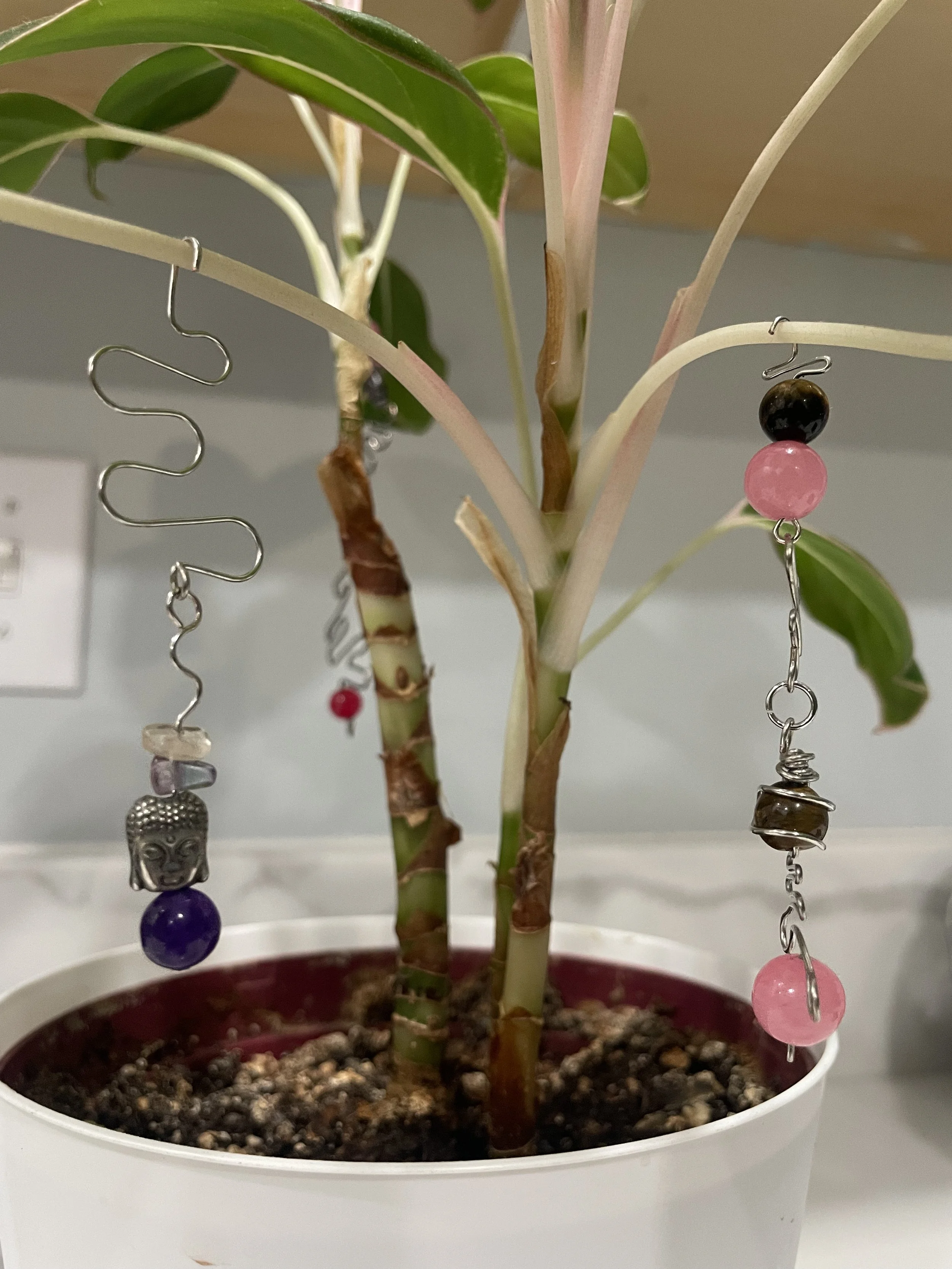 Hanging Plant Jewelry.jpg