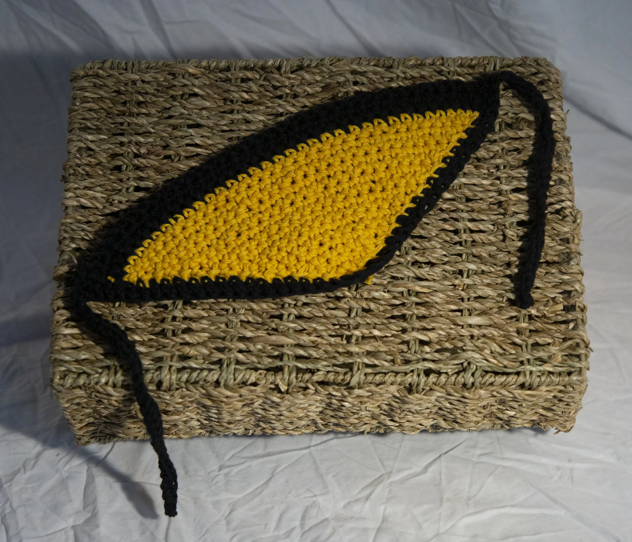 AppStateBandana_Large.jpg