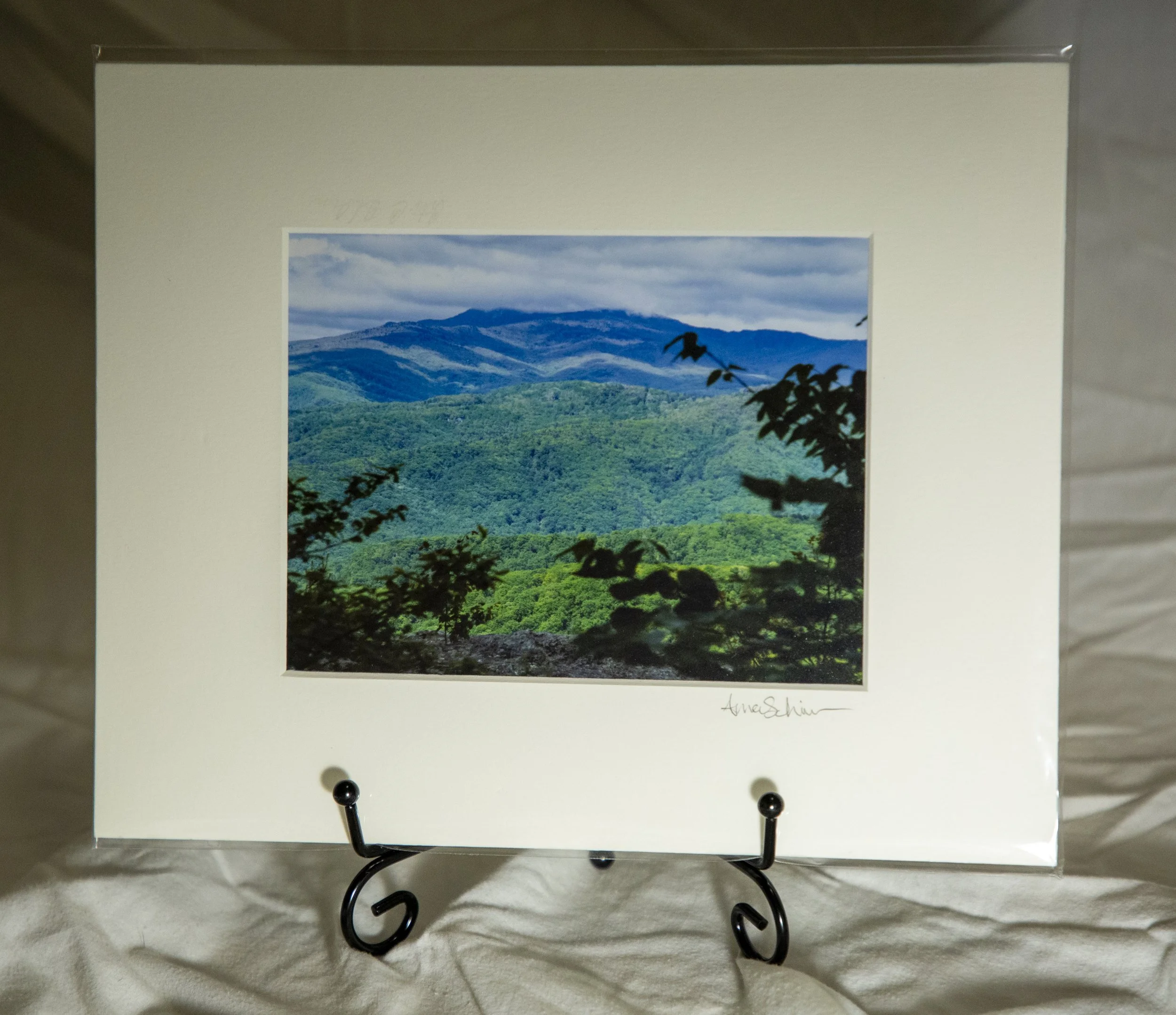 TheBlowingRock_2.jpg