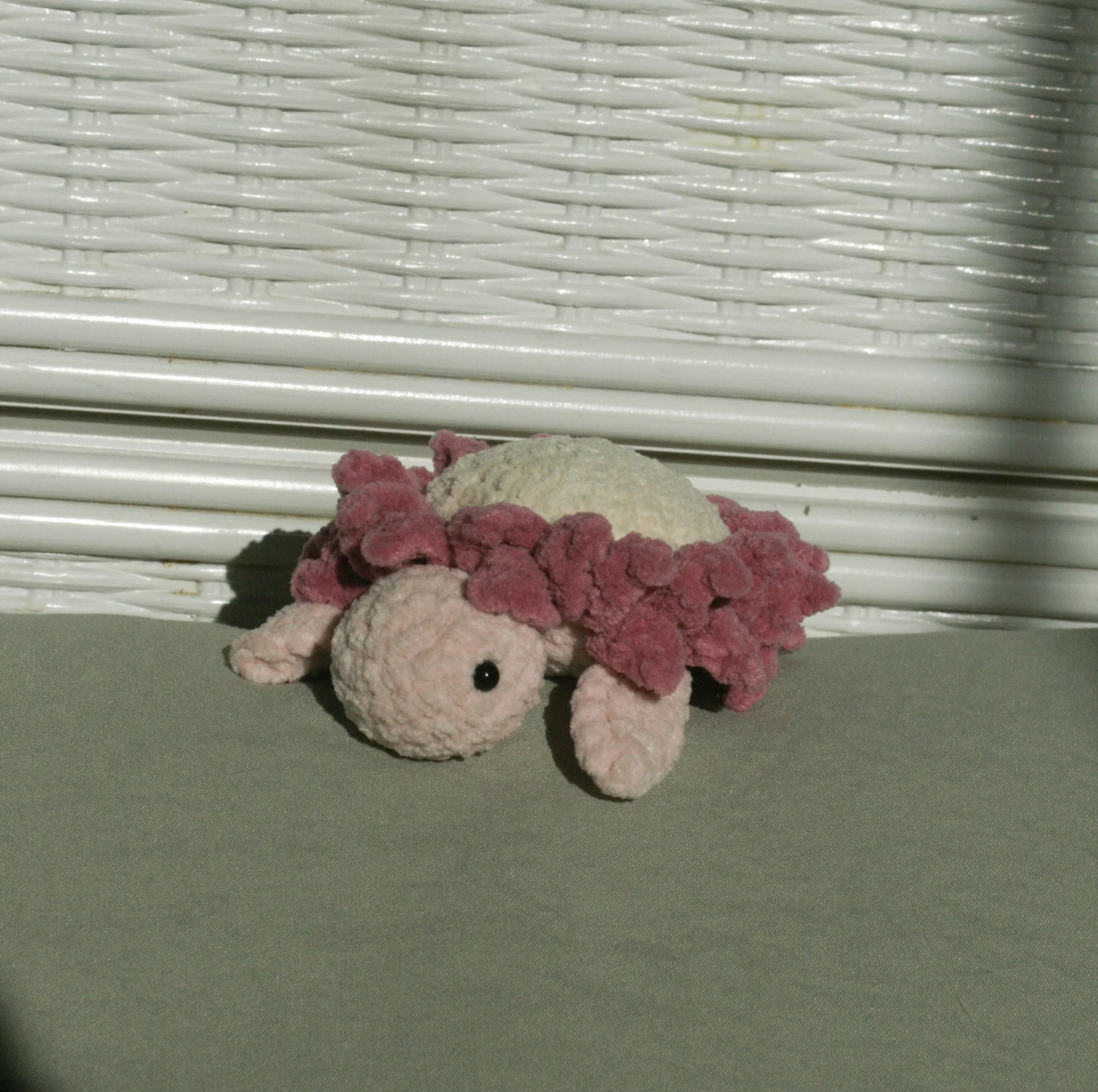 Mini Flower Turtle (1).jpg