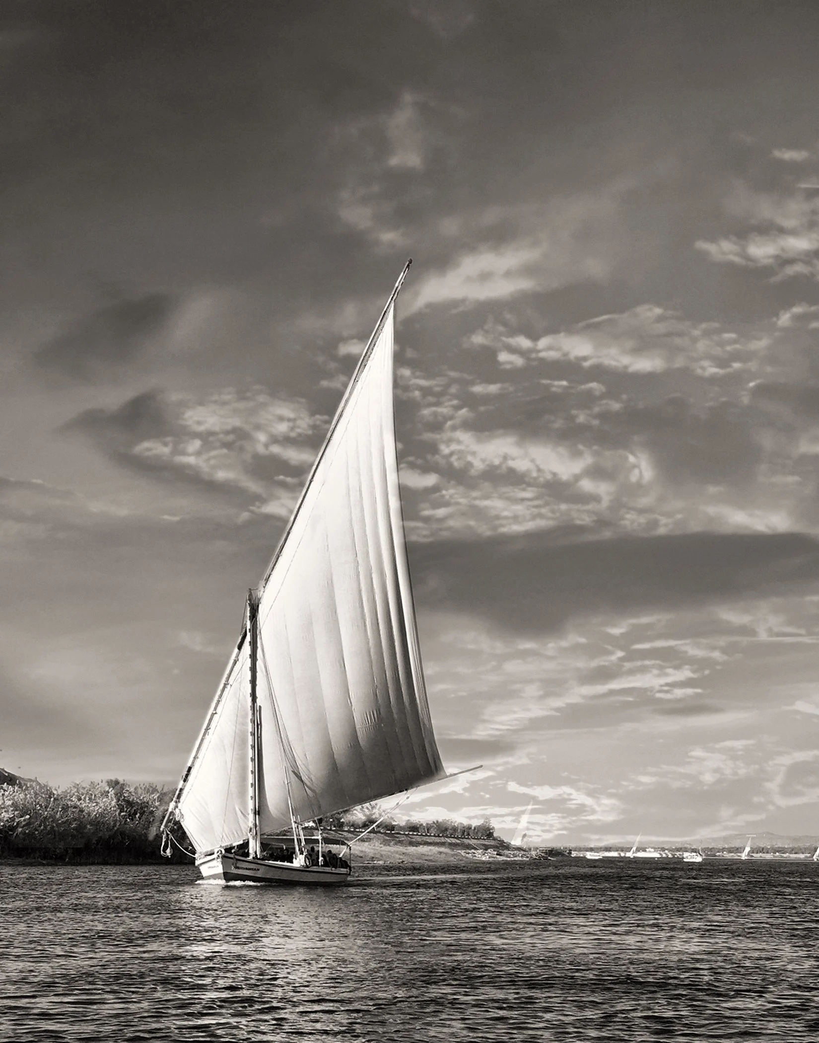 FALUCA ON THE NILE SEPIA A SS s.jpg