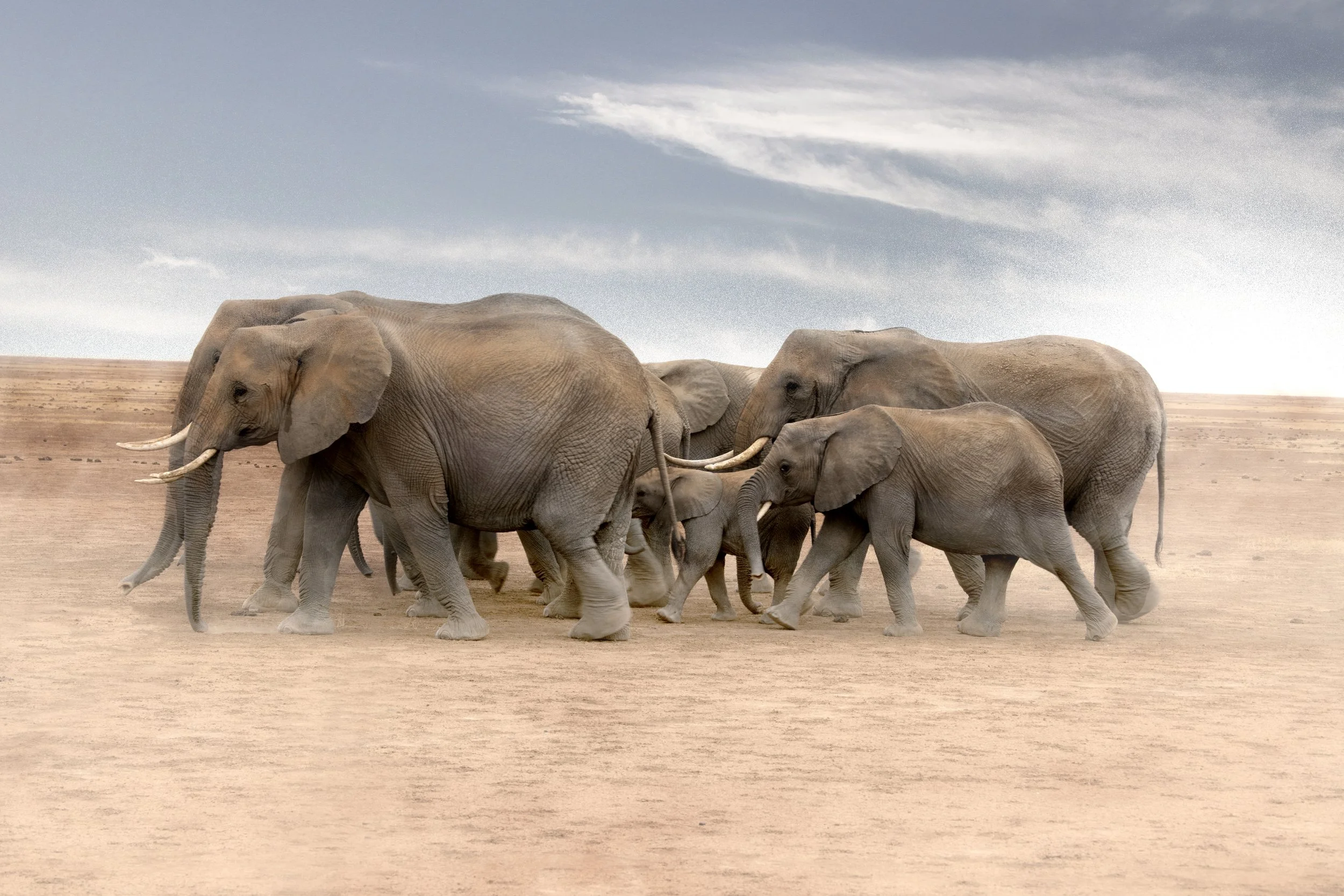 It takes a family .jpg