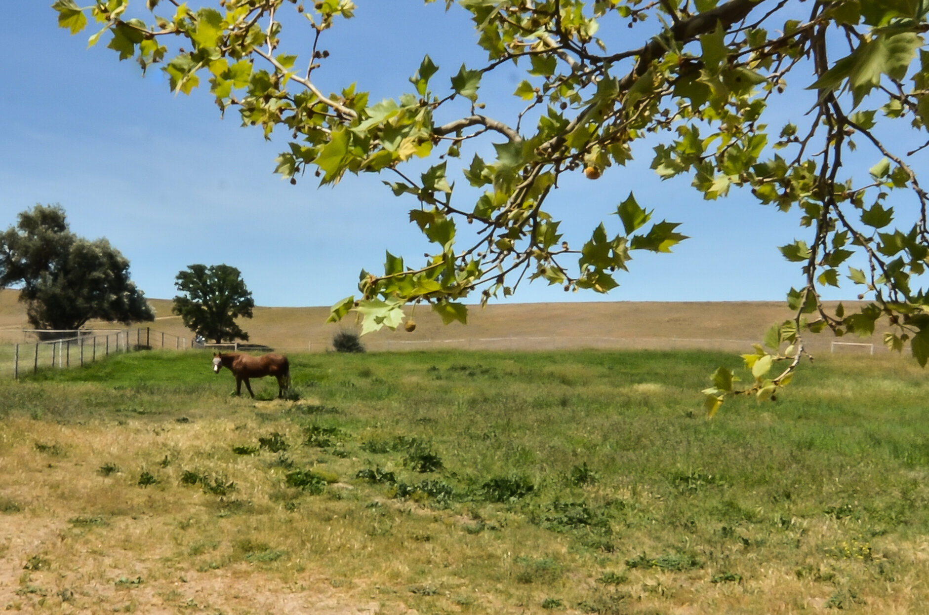 Temp_Ranch House-16.jpg