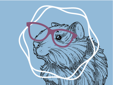 THE MINI GUINEA - Hourly Coaching Session