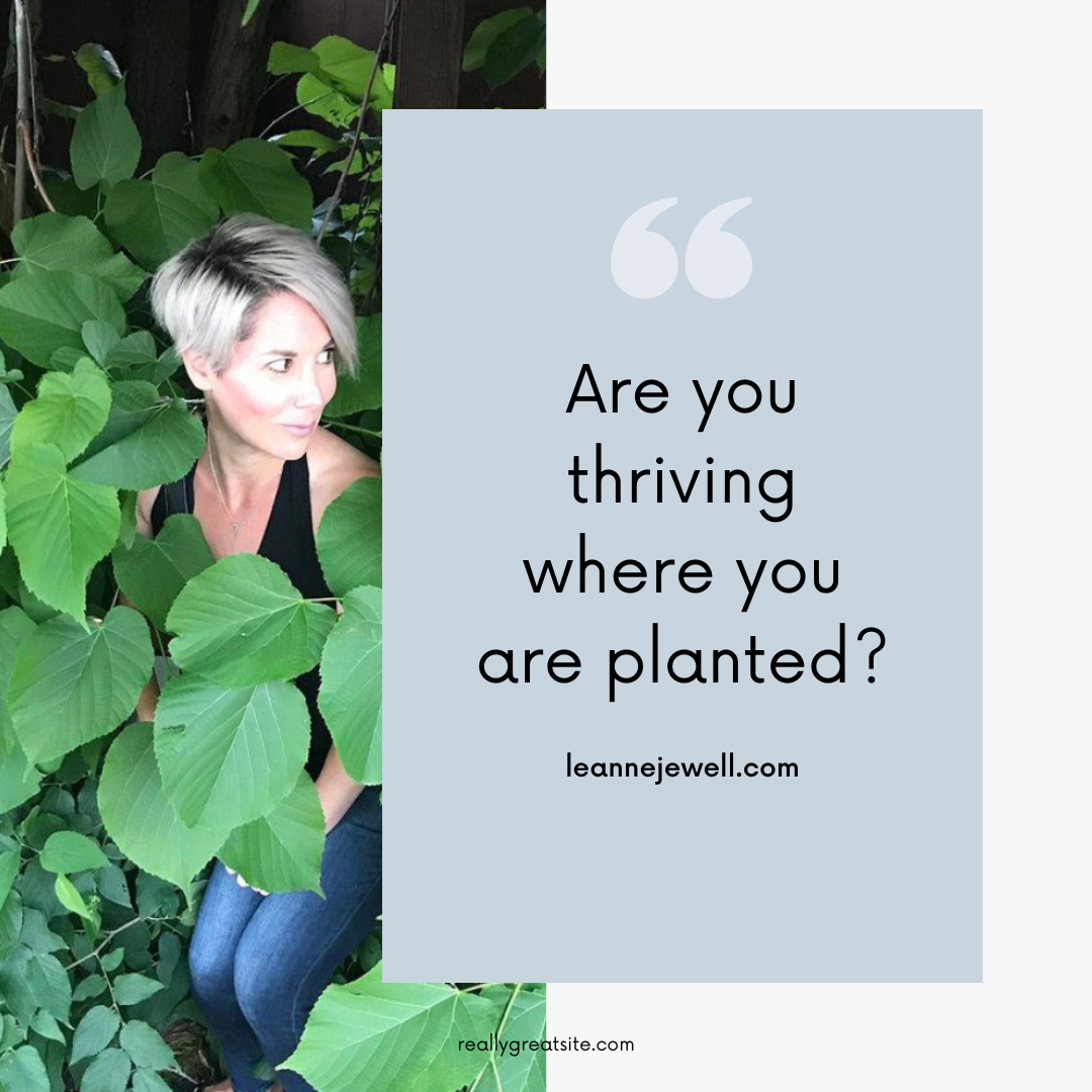 Are You Thriving Where You Are Planted?