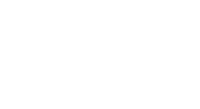WMD Digital Atmospheres creates beautiful and engaging  dynamic websites that encourage action.  