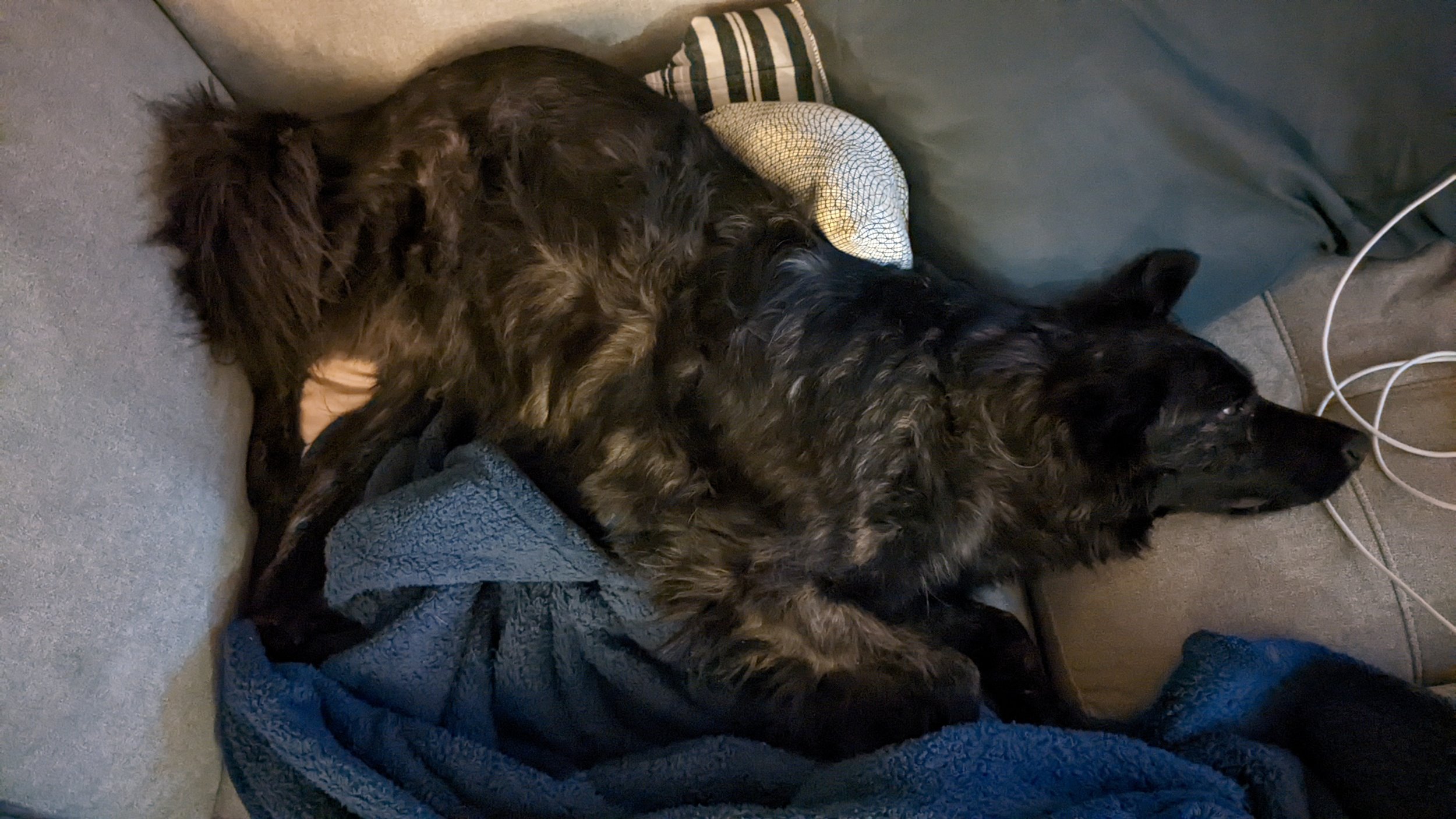 Lounge bubby