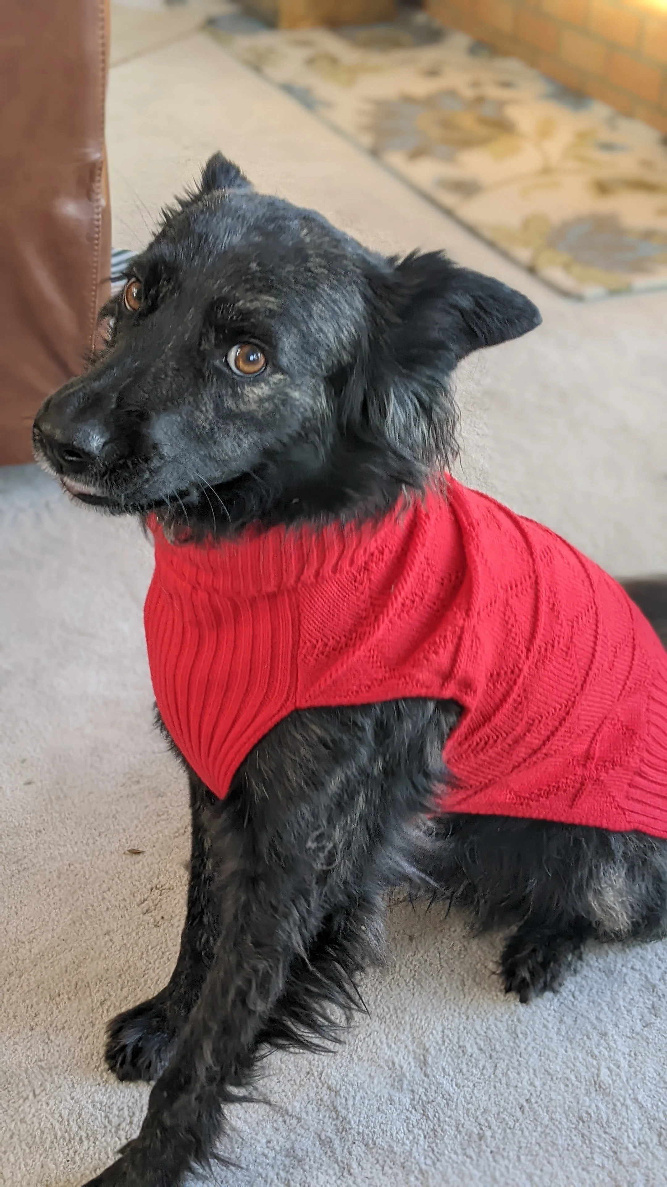 PXL_20211227_184817157.PORTRAIT.jpg