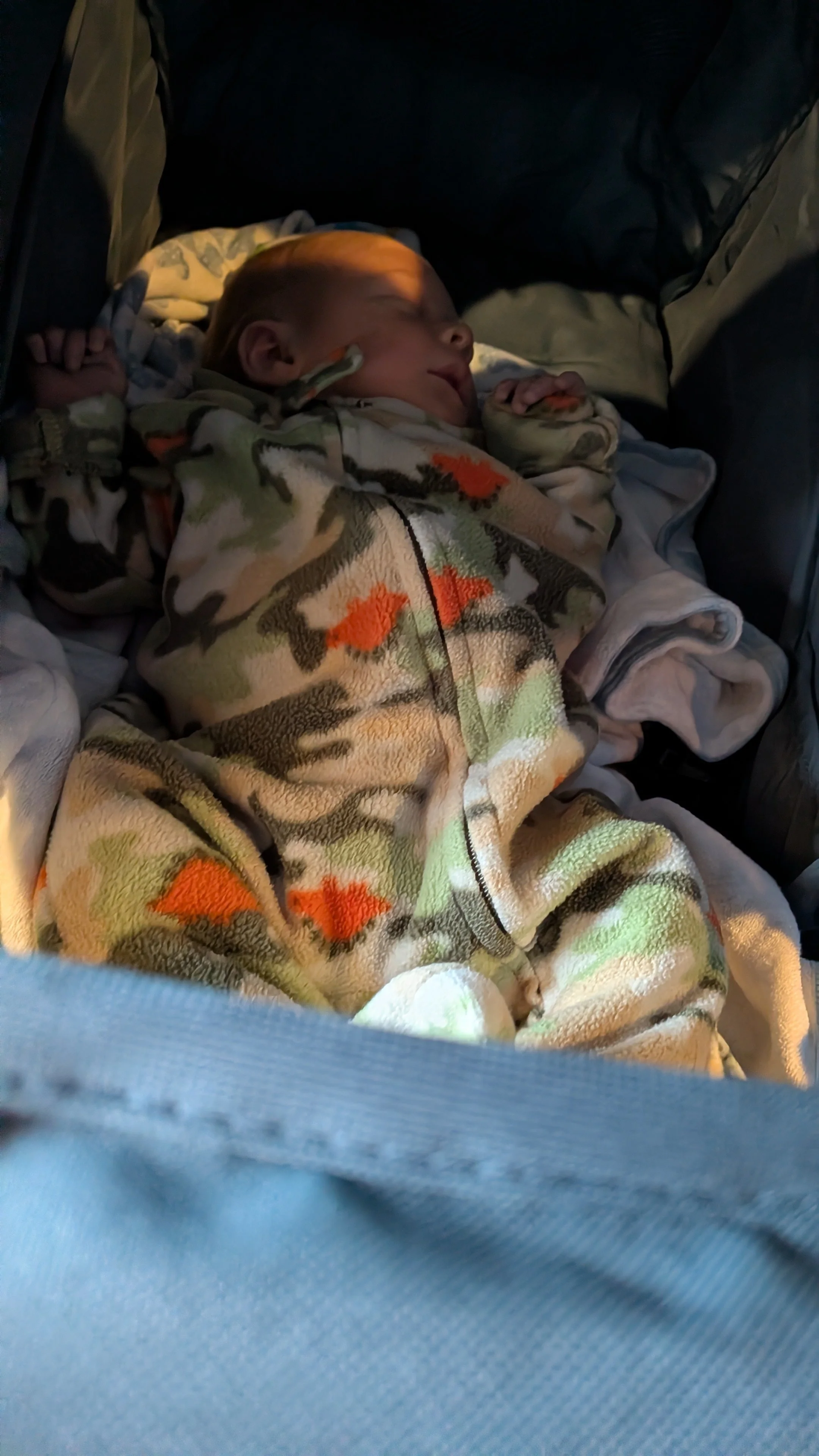 PXL_20260312_154955645.jpg