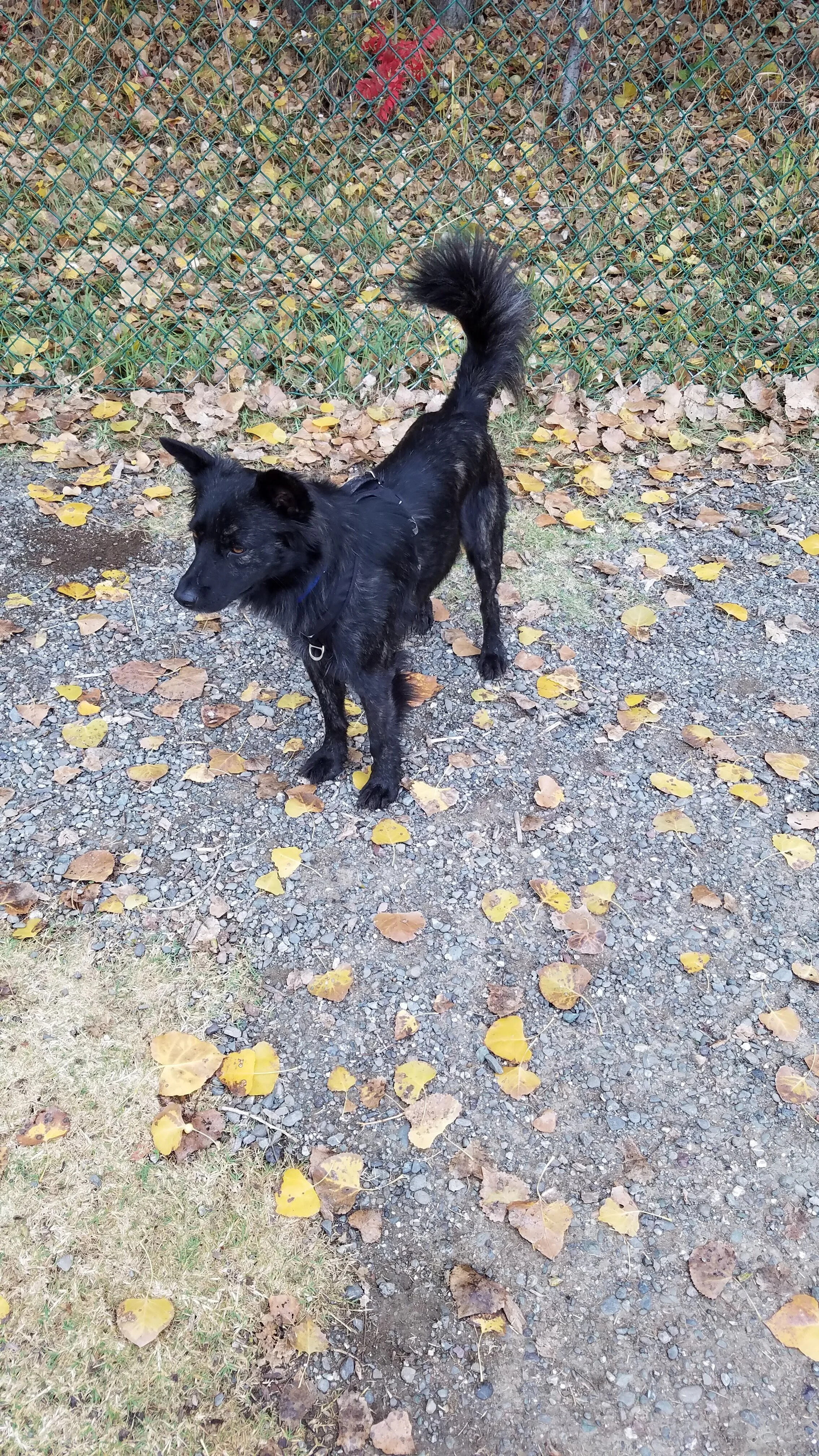 20181127_100115.jpg
