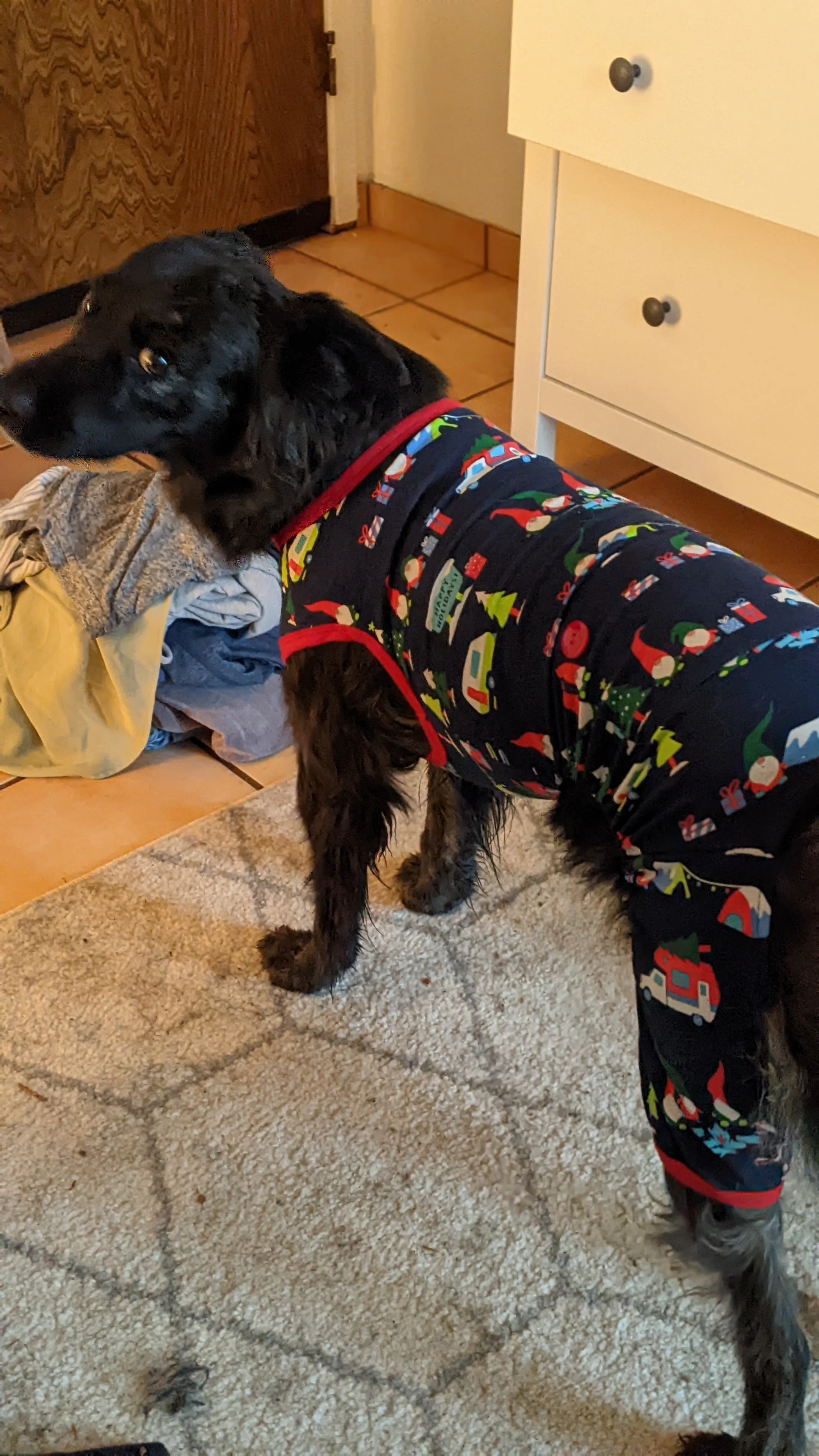 Bubby in stupid clothes