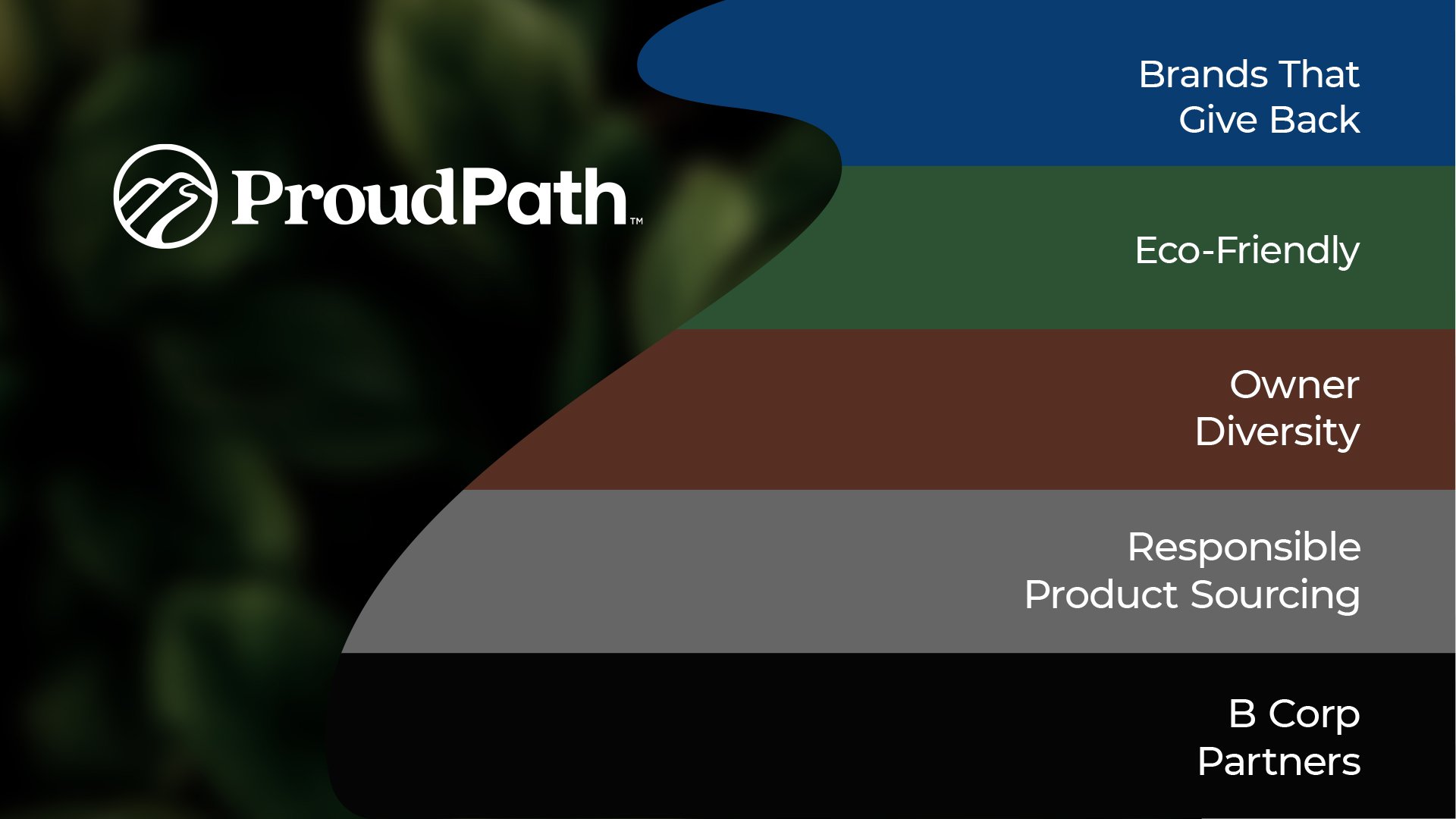Proudpath_2024_teams_videobg_pillars.jpg
