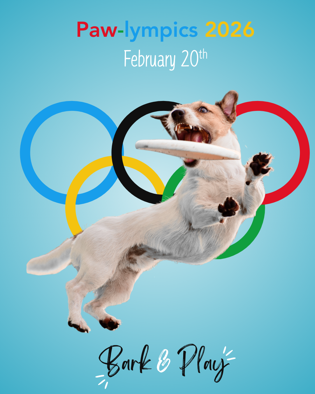 Paw-lympics 2026: Feb 20th