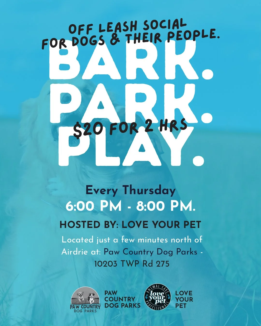Bark. Park. Play. Weekly Social Nights