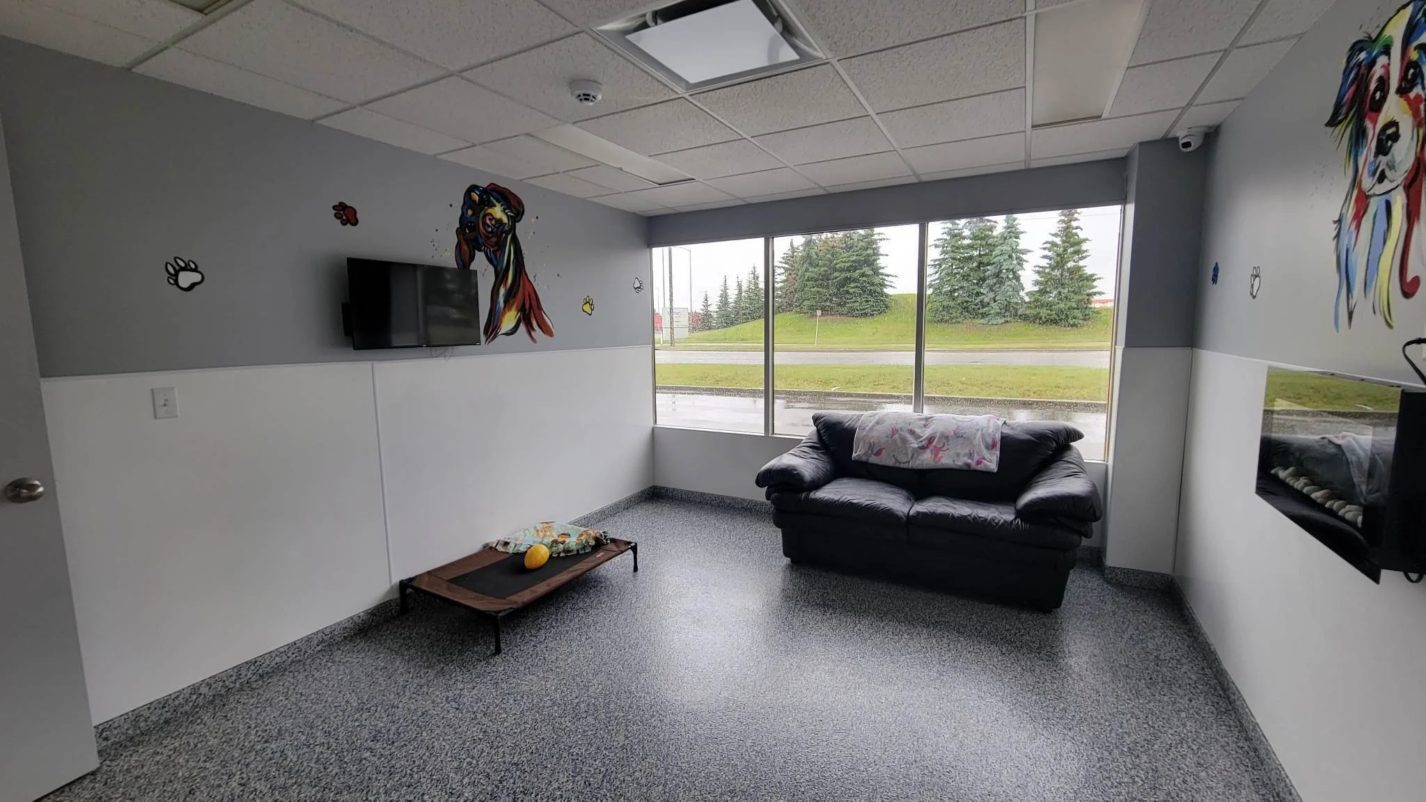 Calgary Dog Boarding Daycare Grooming