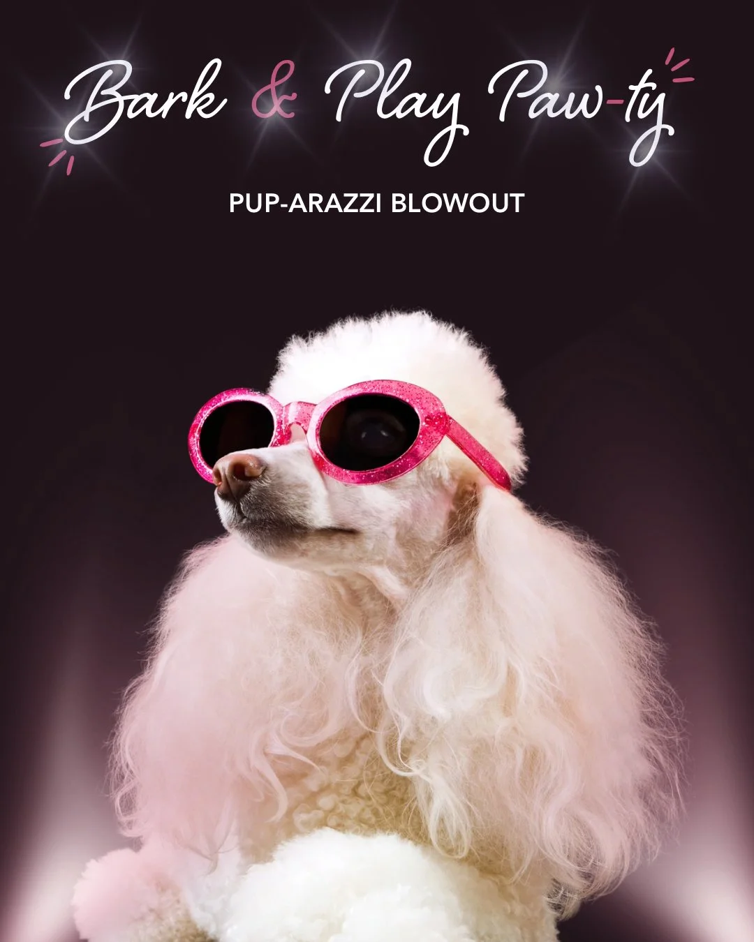 Pup-arrazzi Blowout