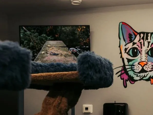 A blurry close-up of a gray fluffy cat sitting on a scratching post, looking at a television screen on a wall. To the right, there is a colorful, stylized mural of a cat's face with large eyes, pink and blue accents, and a rainbow-colored collar.