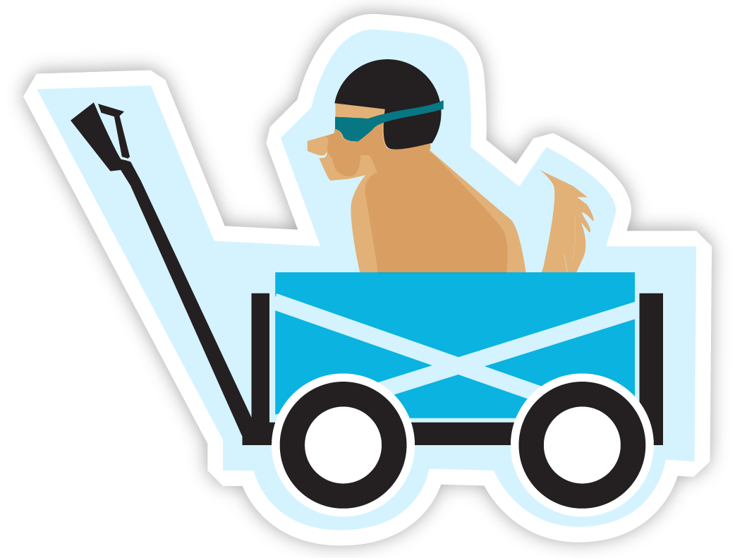 Dog Boarding Airdrie & Crossfield, Dog Daycare Airdrie Crossfield, Cat Boarding Airdrie Crossfield, Off leash dog walking Airdrie & Crossfield, Dog Grooming airdrie, Dog Boarding Calgary, Dog Daycare Calgary, Cat Boarding Calgary Dog Grooming Calgary