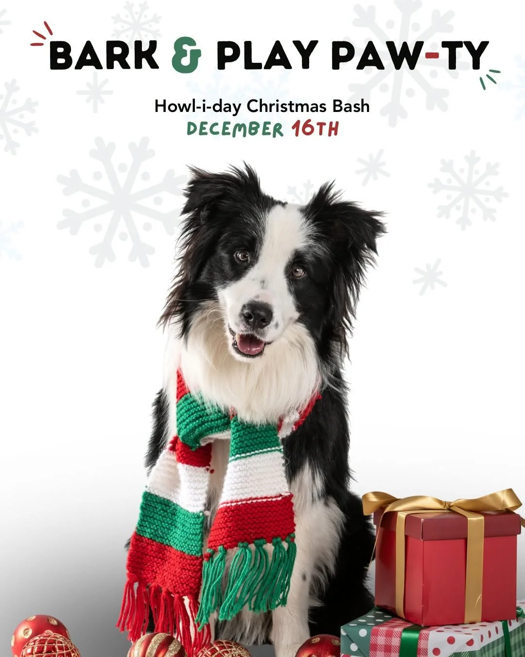Bark &amp; Play Christmas Paw-ty 