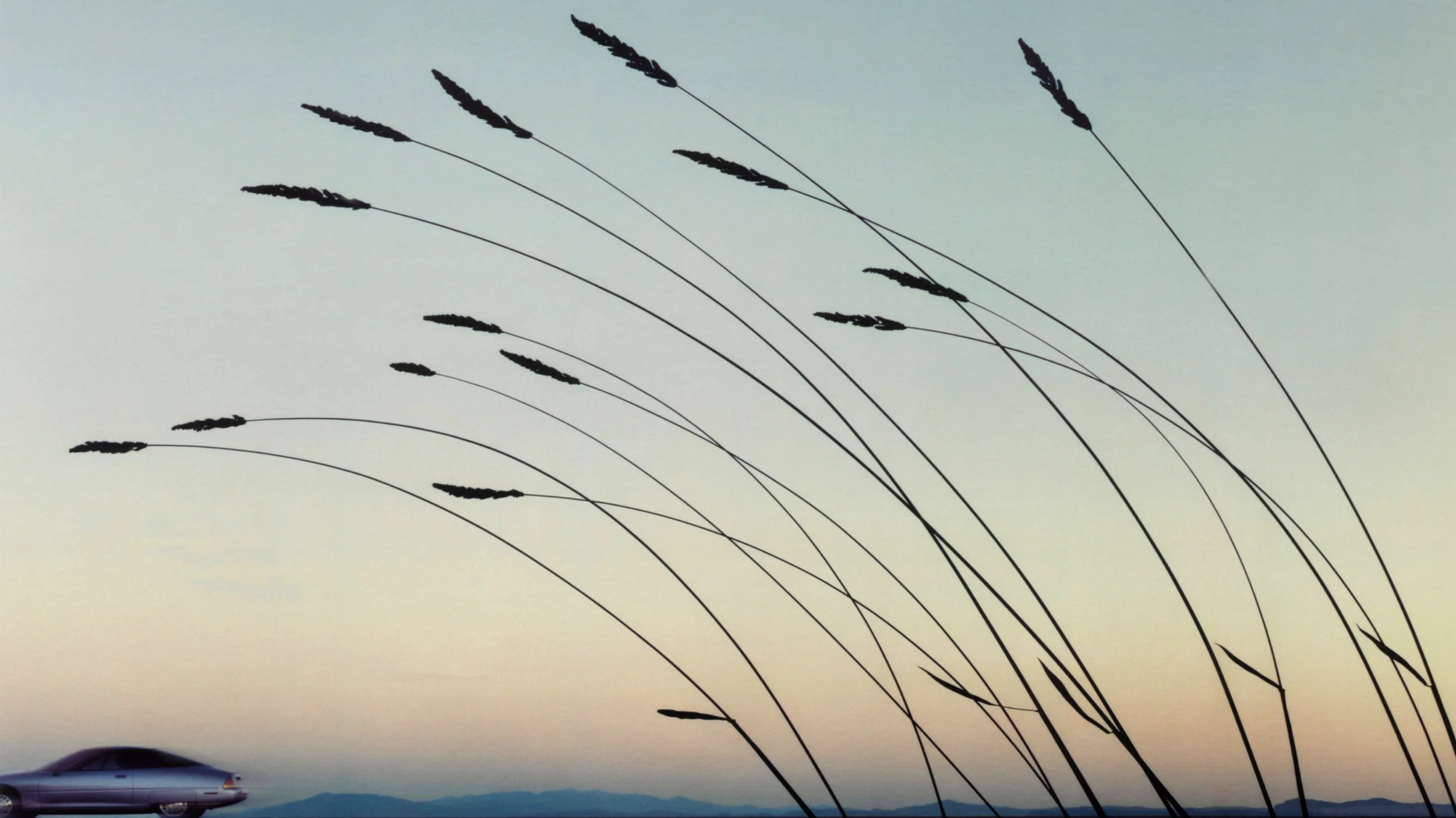 New Revision One Carousel JD Website.jpg