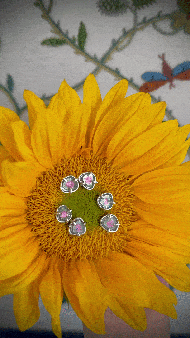 IMG_4077-ezgif.com-optimize.gif (Copy)