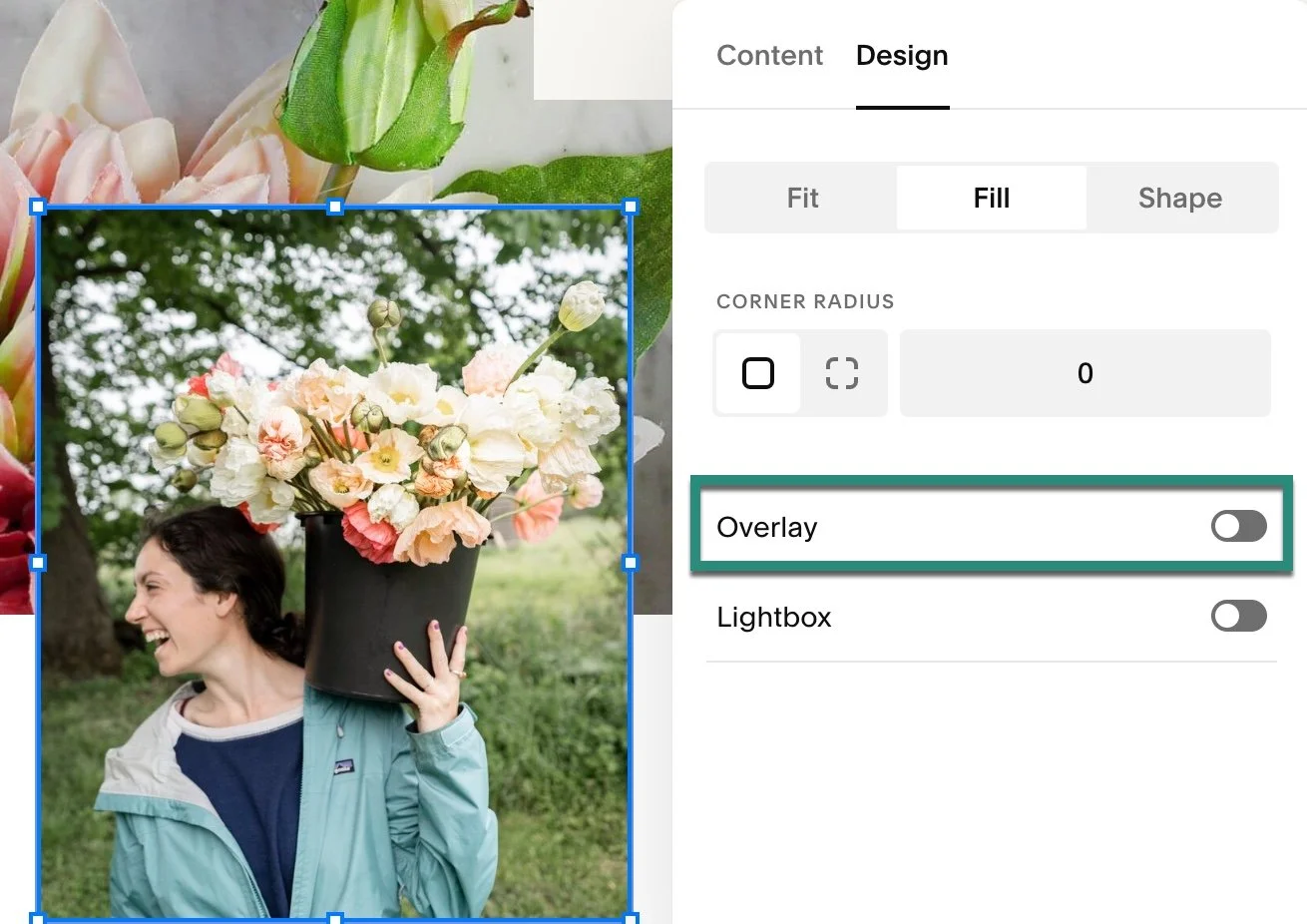 Image Overlay Options for Squarespace Images (Fluid Engine 