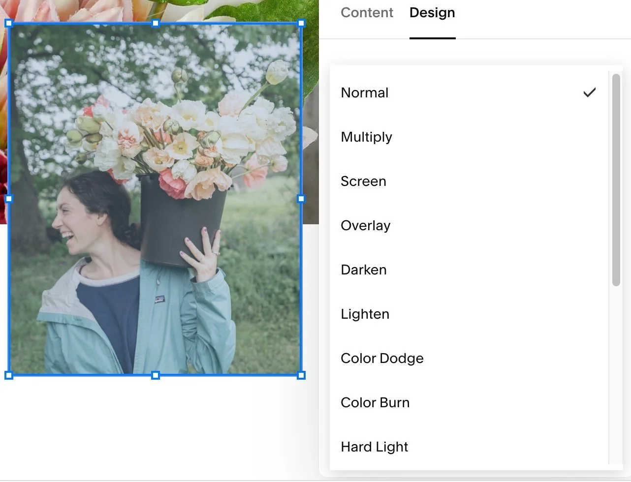 image-overlay-options-for-squarespace-images-fluid-engine-donna