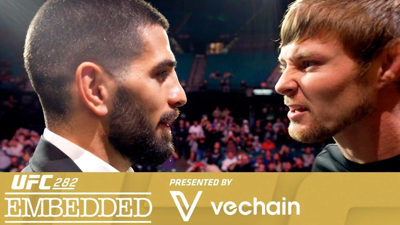 UFC Embedded
