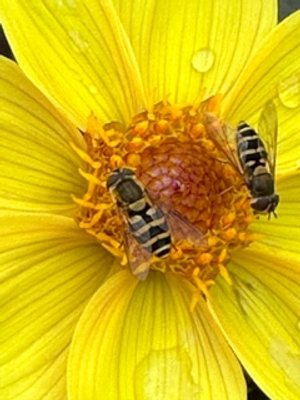 The Contemplative Eye | May 10-14, 2026