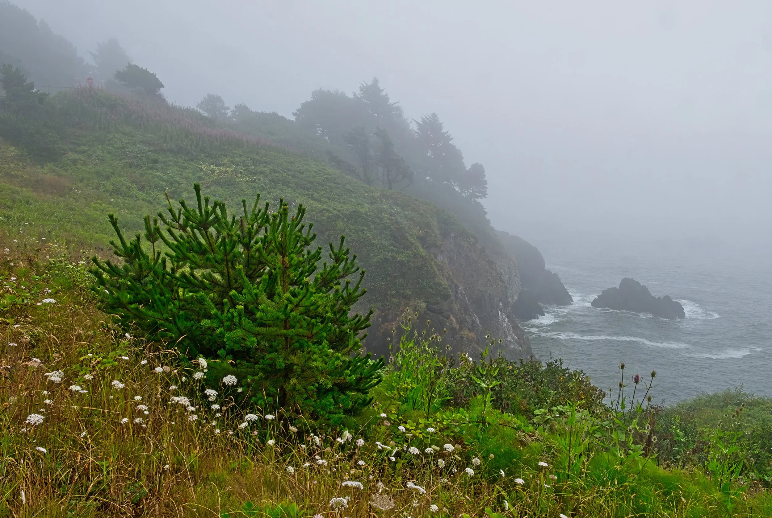 Yaquina Head.jpg