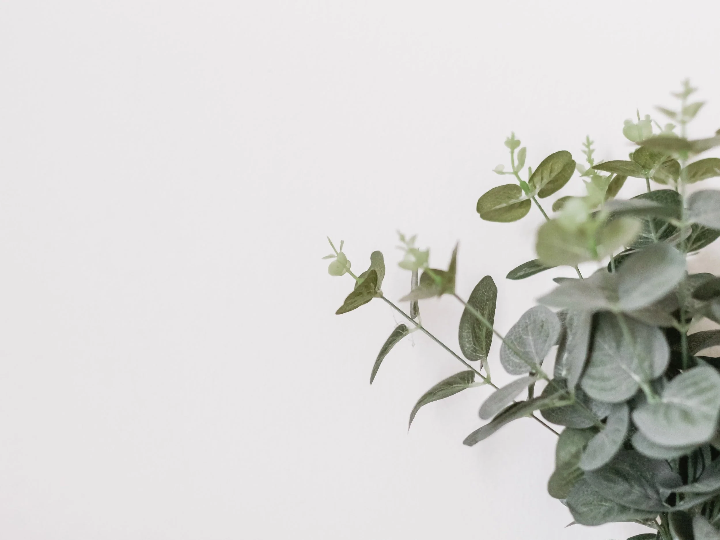 unsplash-image-gA8iUoWYvTk.jpg