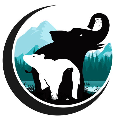 Bearkuda & Asha Inc.