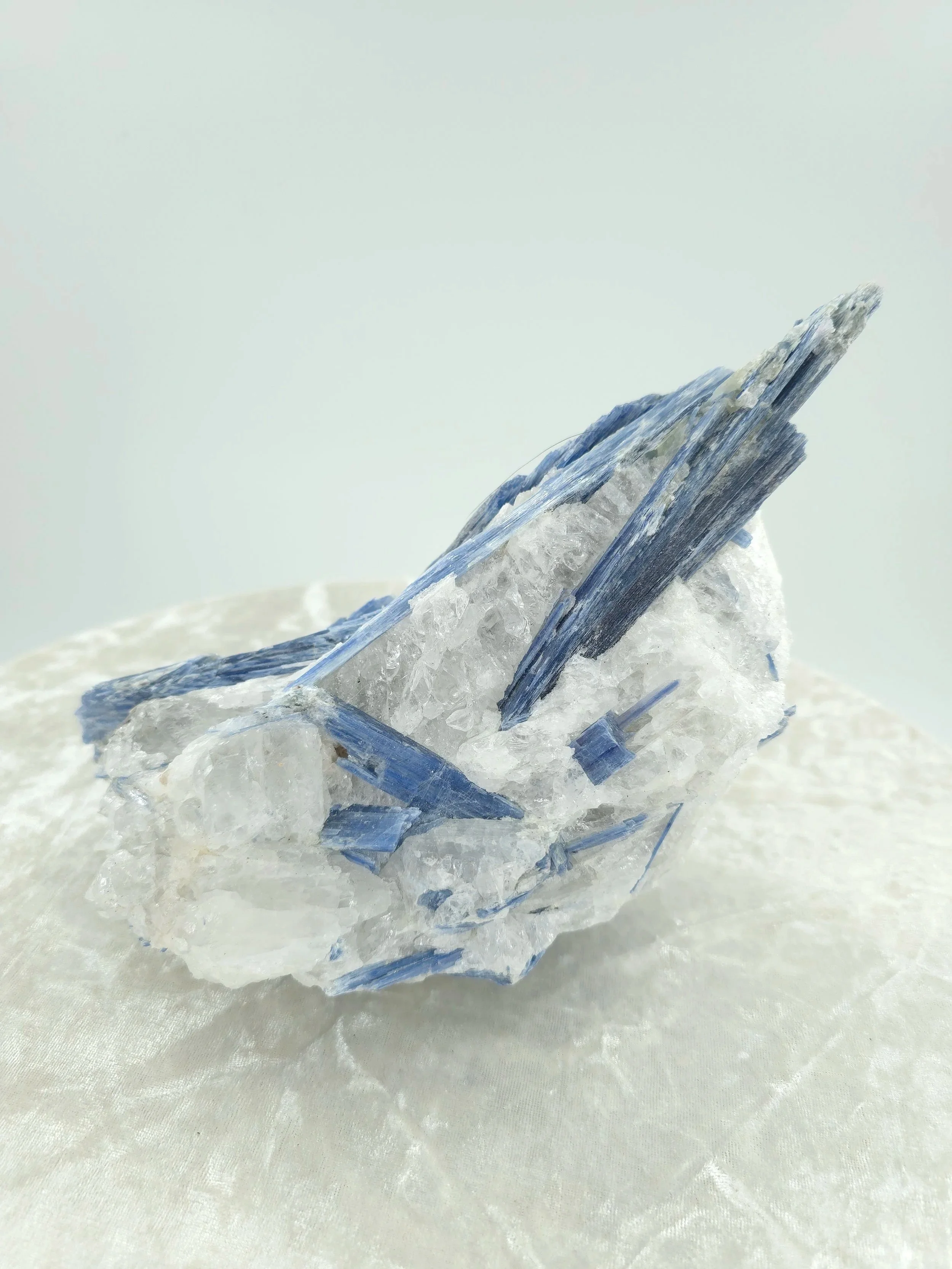 Brazilian Blue Kyanite on Quartz – Cabinet Specimen