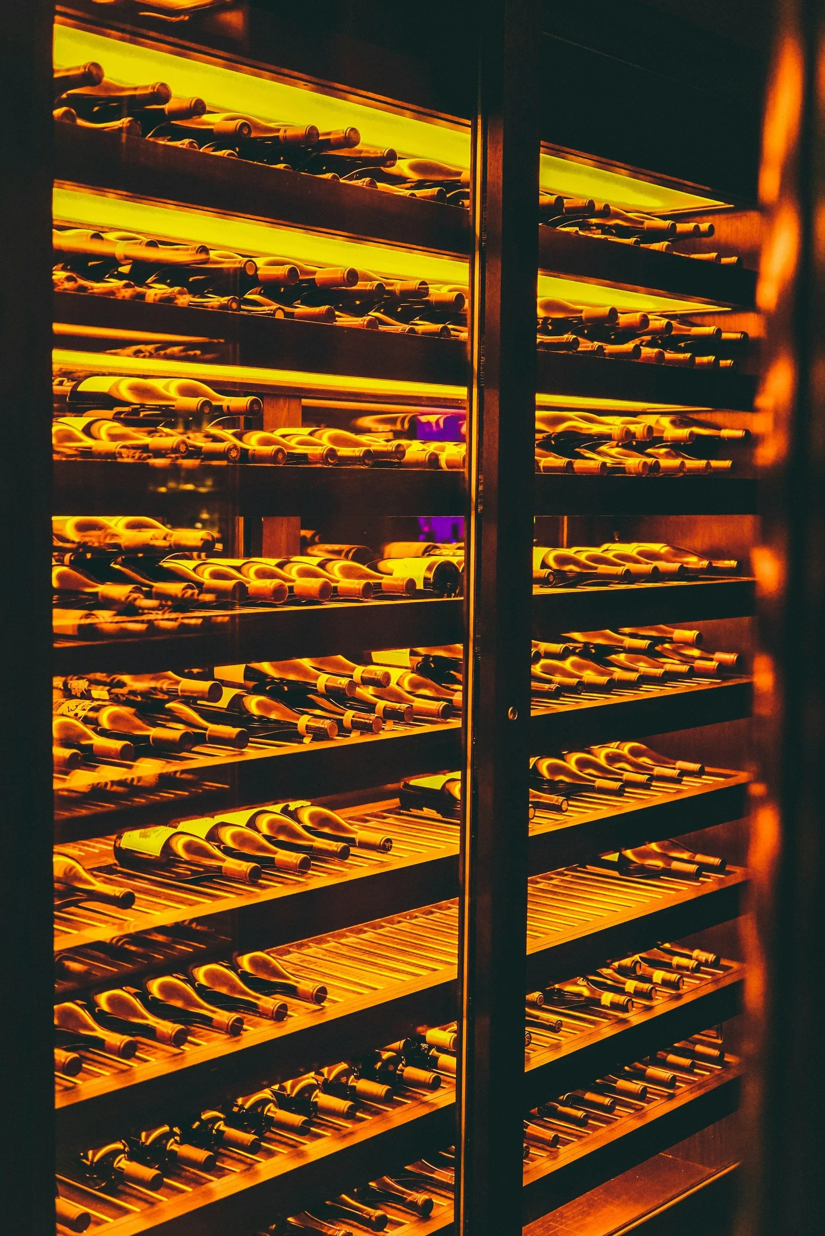 unsplash-image-atlnW-rHFQ8.jpg