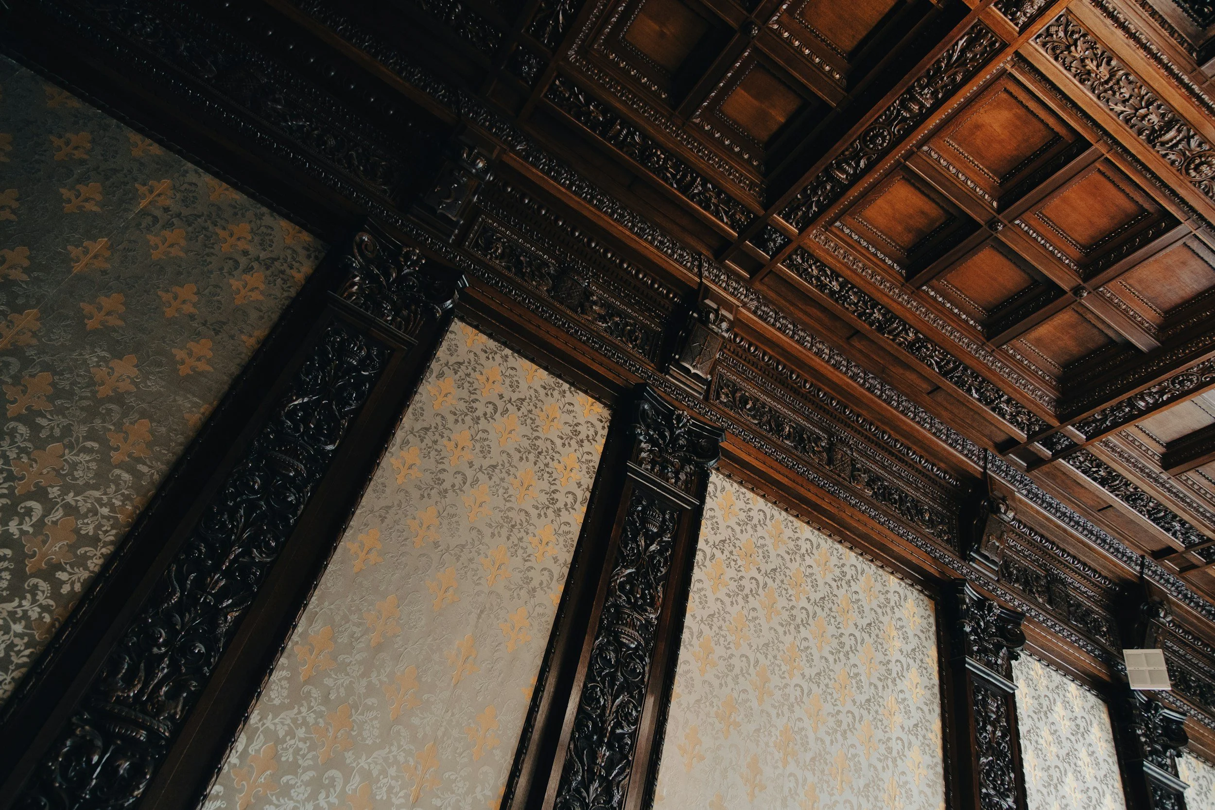 unsplash-image-4v8q7L5moPQ.jpg