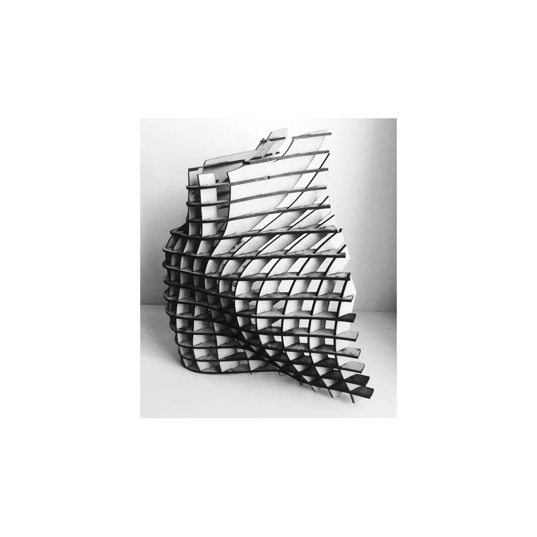 WAFFLE STRUCTURE MADE WITH RHINOCEROS