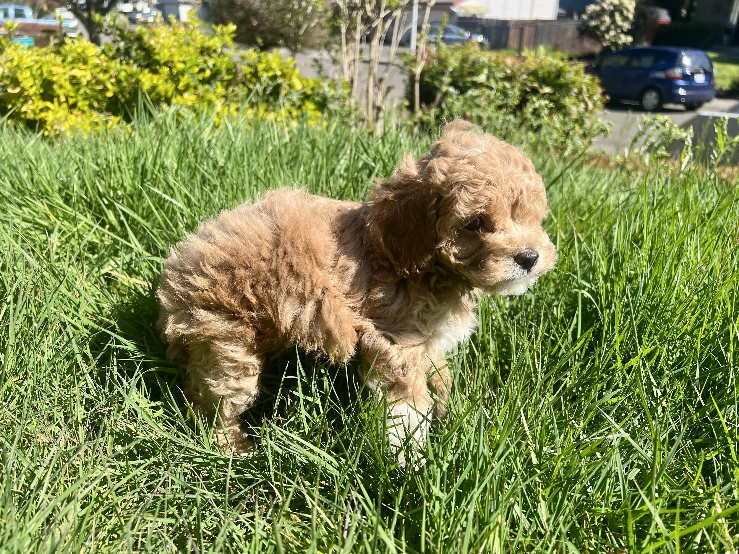 Millieboy3-29-261.jpg
