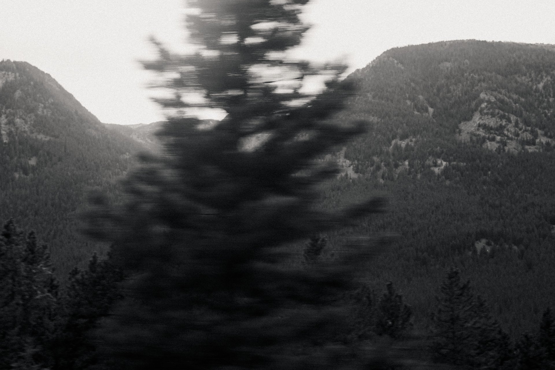 Blurry black-and-white photo of a mountain landscape with a large tree in the foreground and mountain peaks in the background.