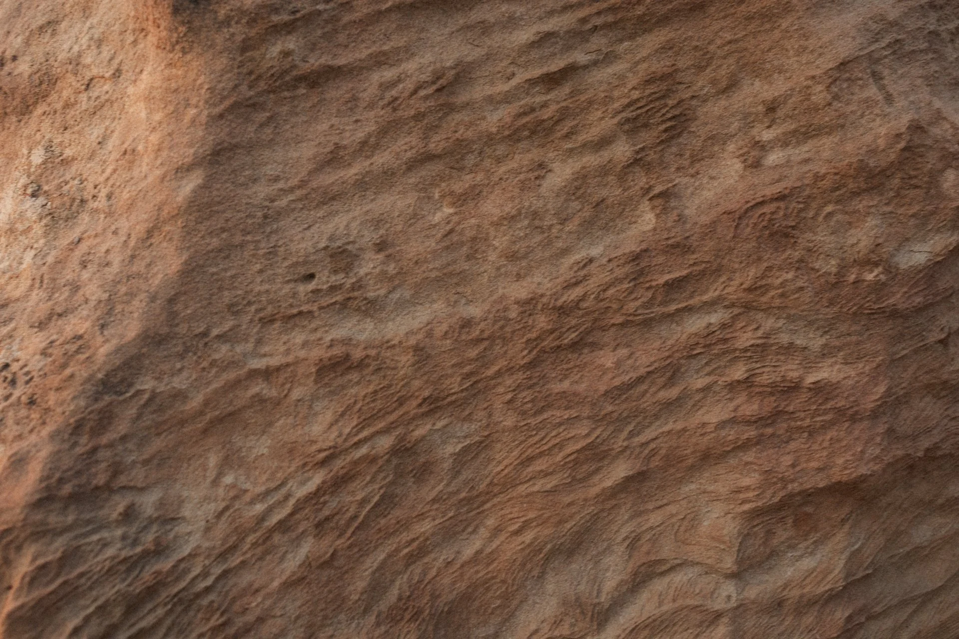 Close-up of a textured, reddish-brown rock surface with rough, uneven patterns.
