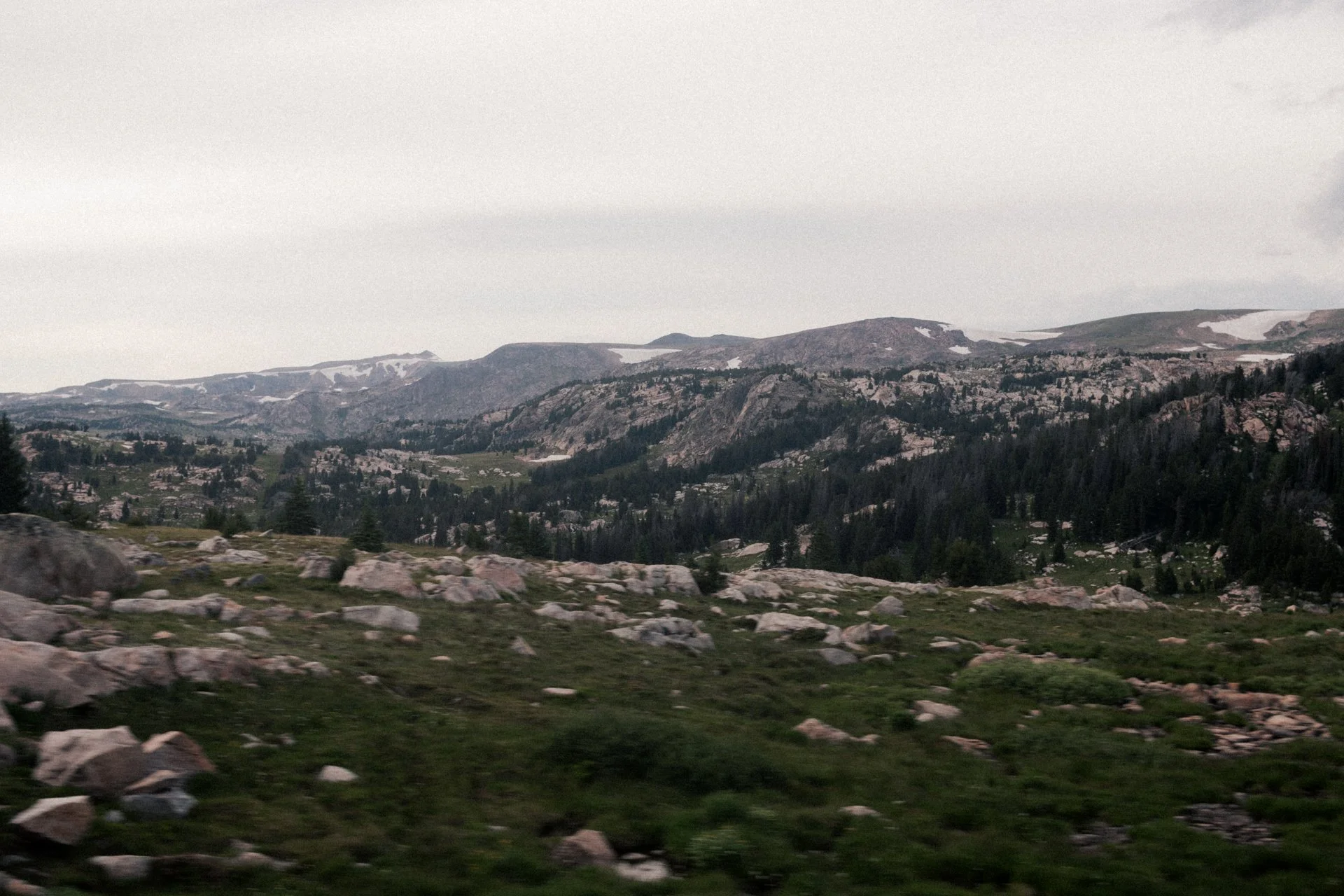 Mountain landscape with rocky terrain, patches of snow on mountain peaks, and a forest of evergreen trees.