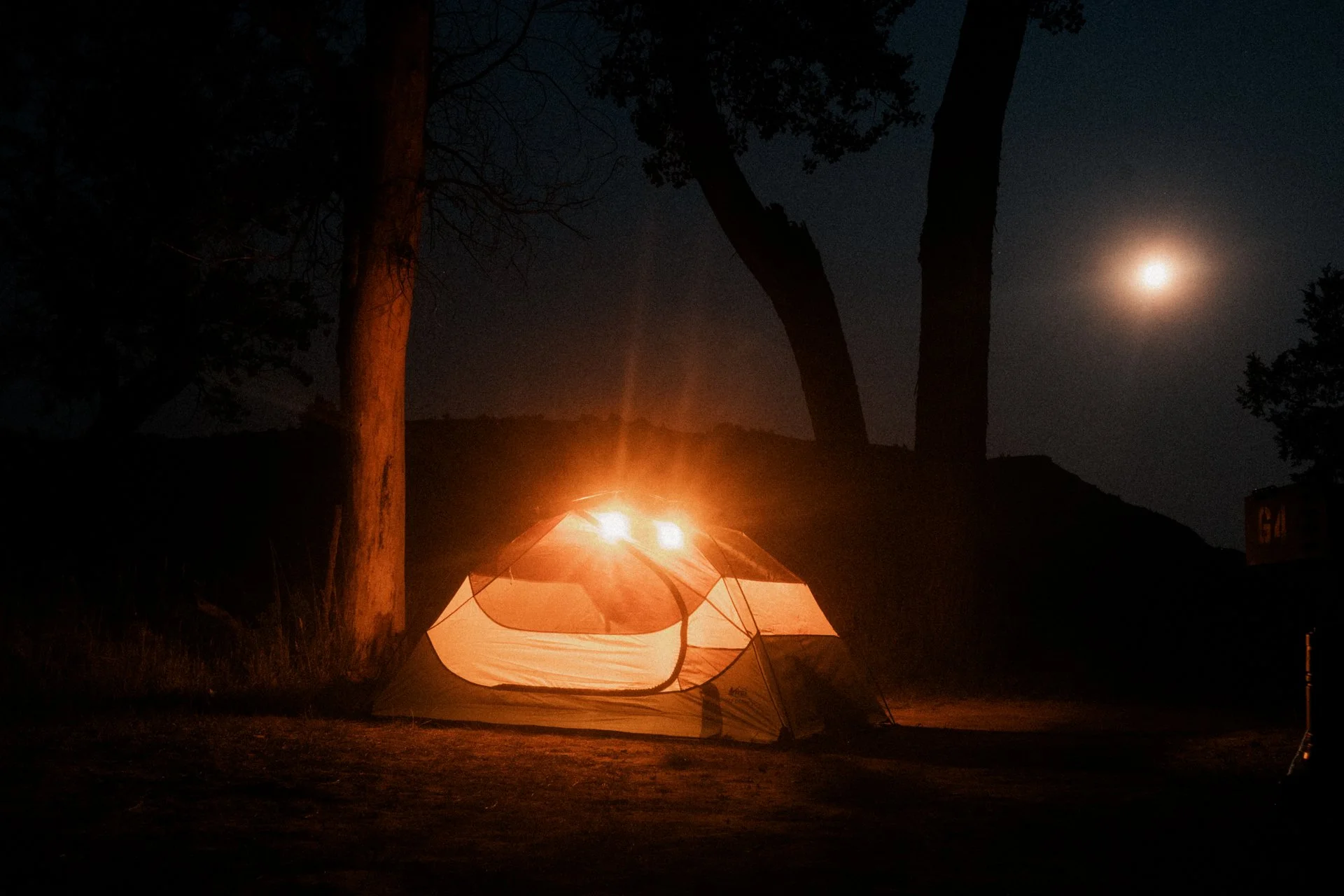 Nighttime scene featuring a camping tent illuminated from within, set among trees with the moon shining in the clear sky above.