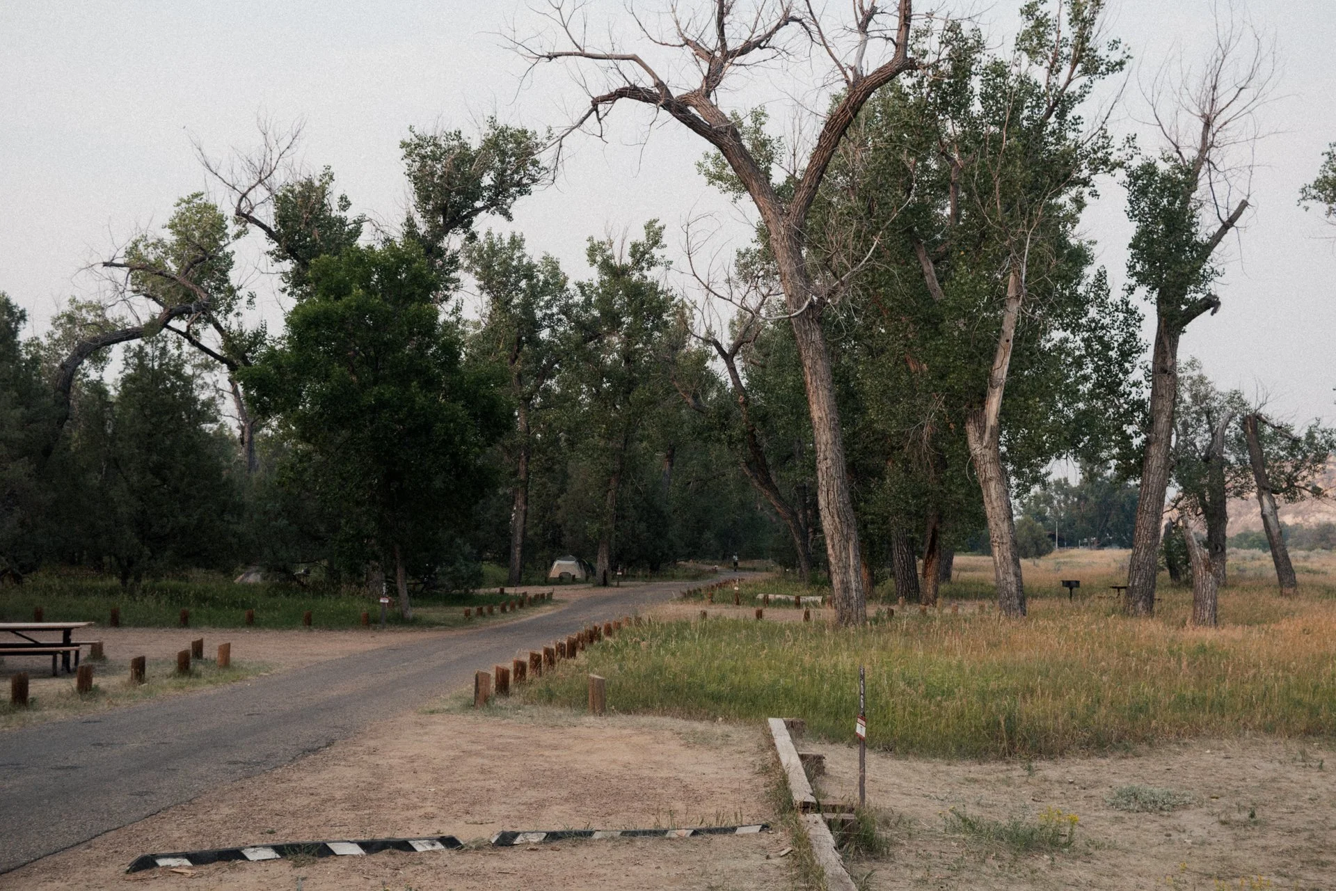 A park with large trees, a pathway, picnic table, and a small grill in a peaceful outdoor setting during late afternoon or early evening.