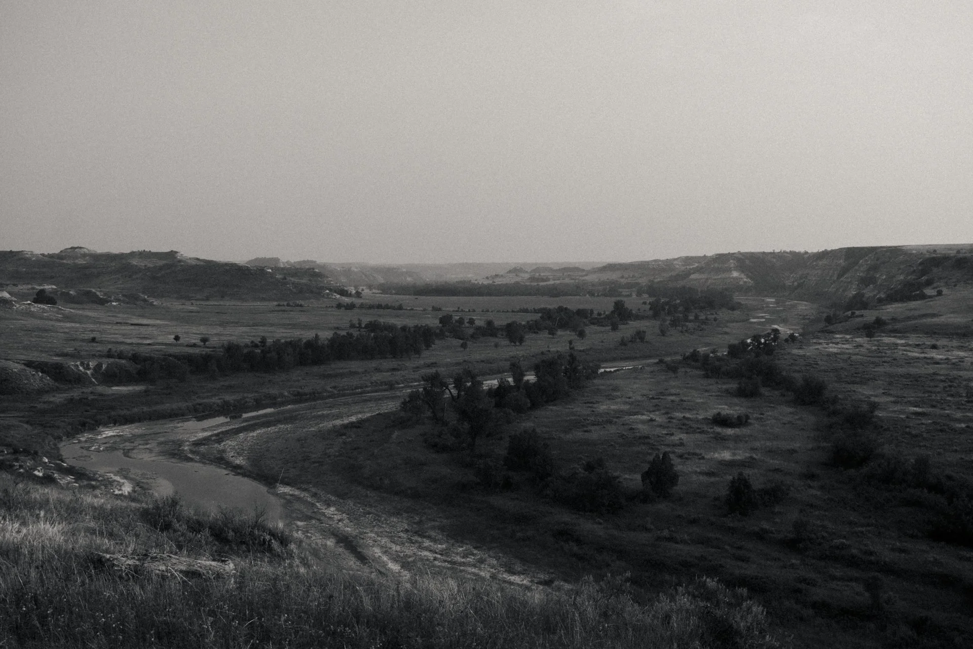 A black and white photo of a winding river flowing through a valley, surrounded by rolling hills and scattered trees.