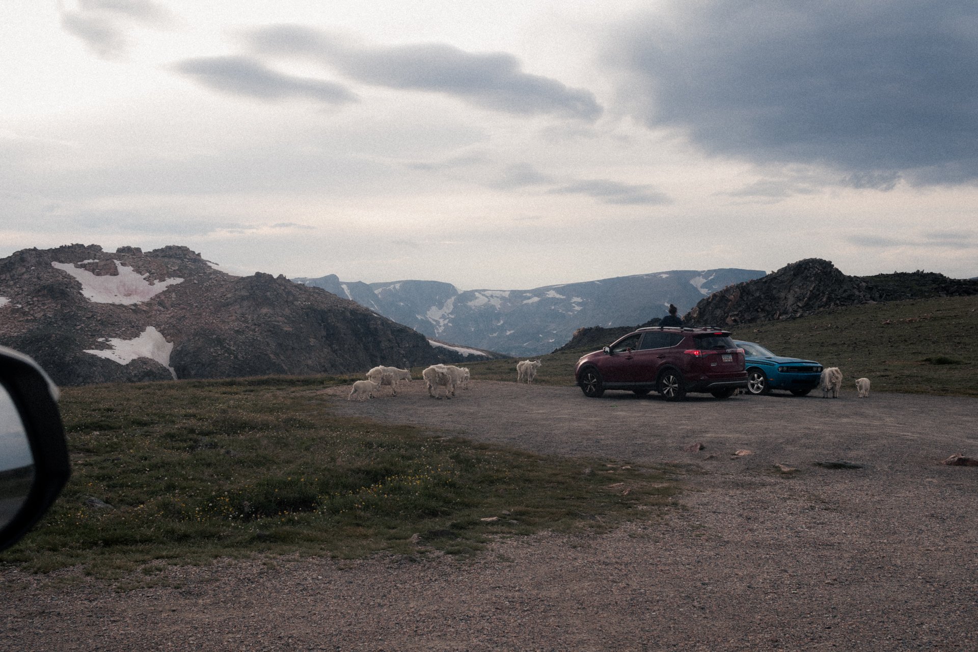 A mountain landscape with snow-capped peaks and clouds in the sky, a red SUV and a blue car parked on the ground, a person sitting on the red SUV, and a flock of sheep grazing nearby.