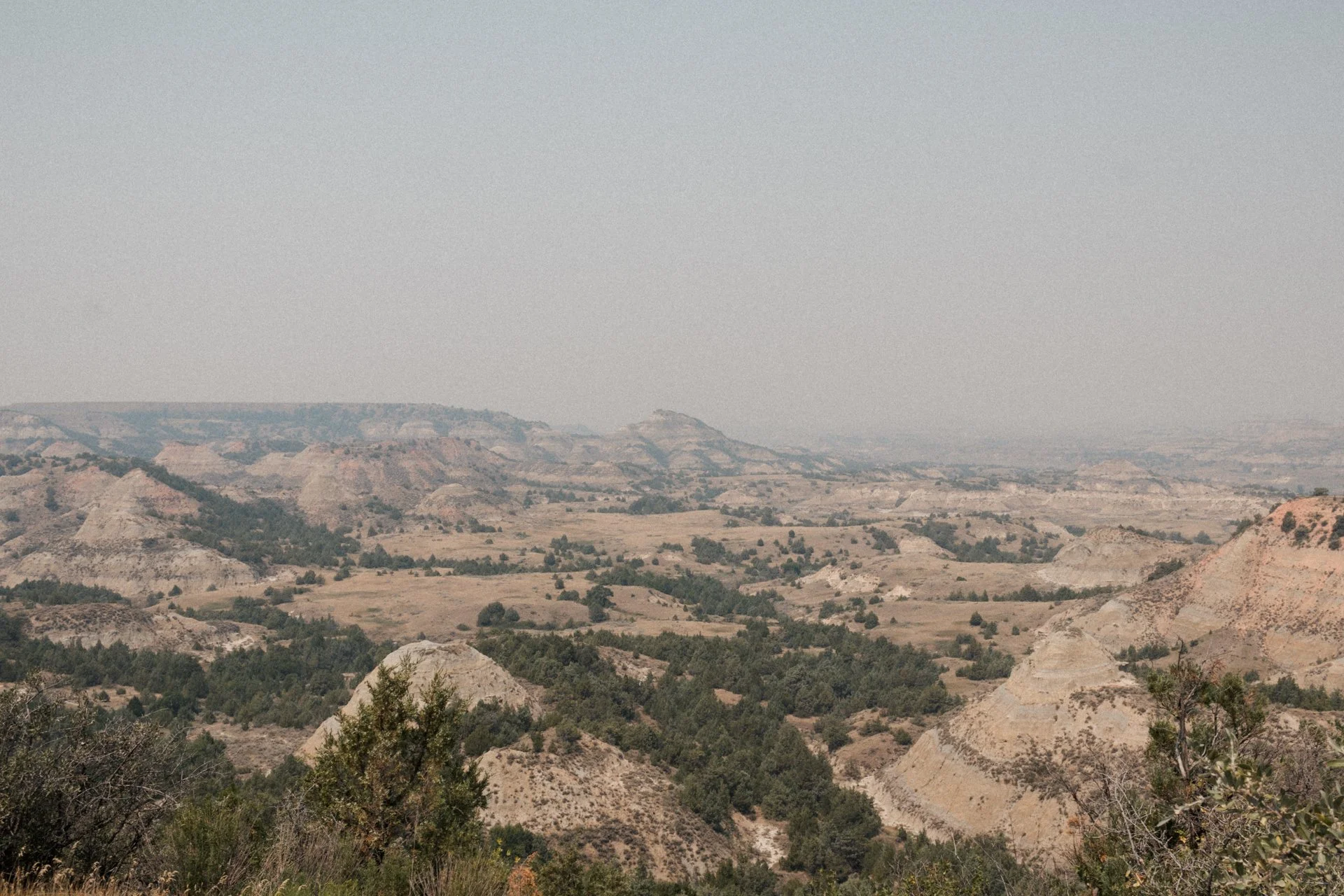 Scenic view of a vast desert land with rugged hills and sparse vegetation under a bright, clear sky.